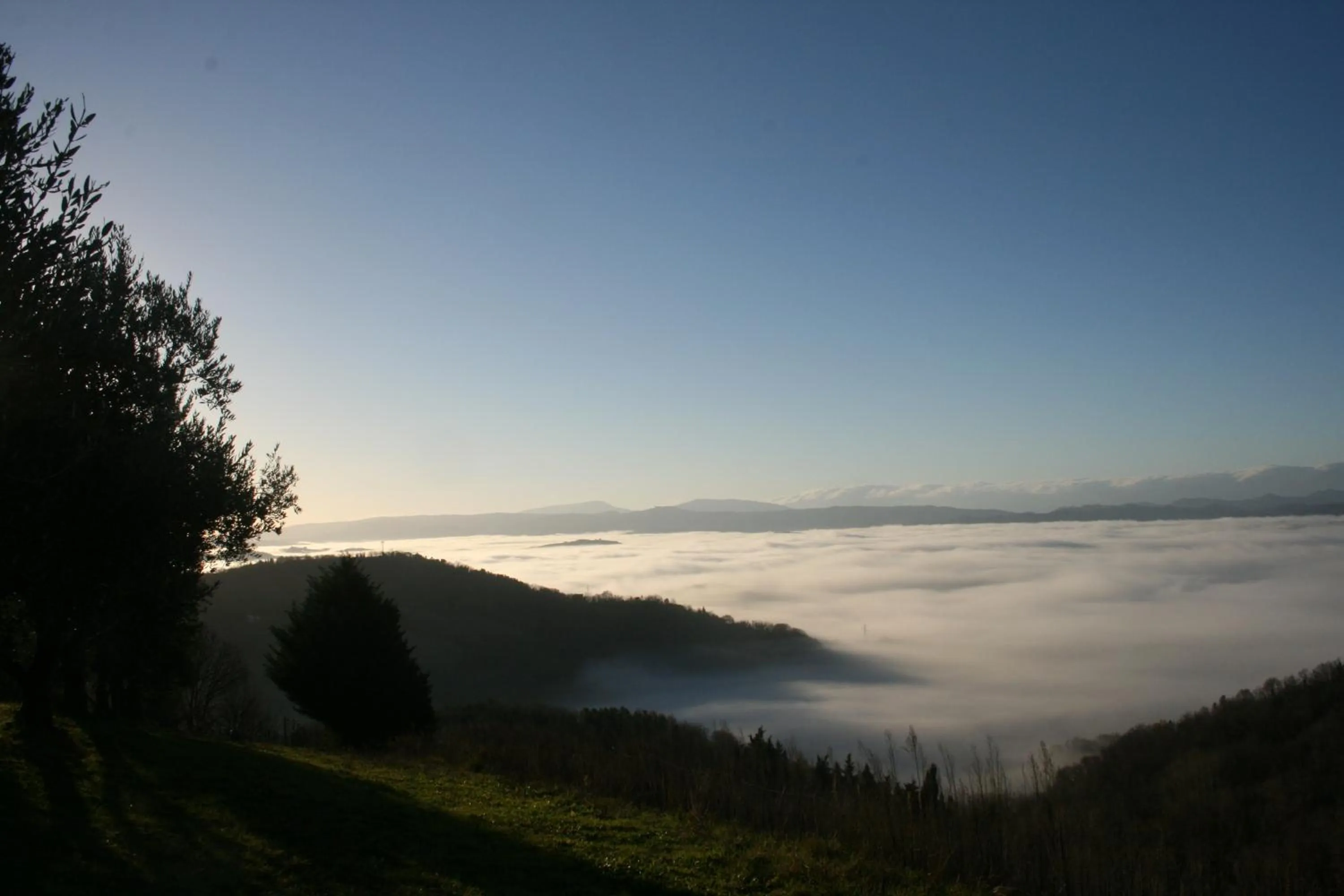 Photo of the whole room in B&B La Fenice