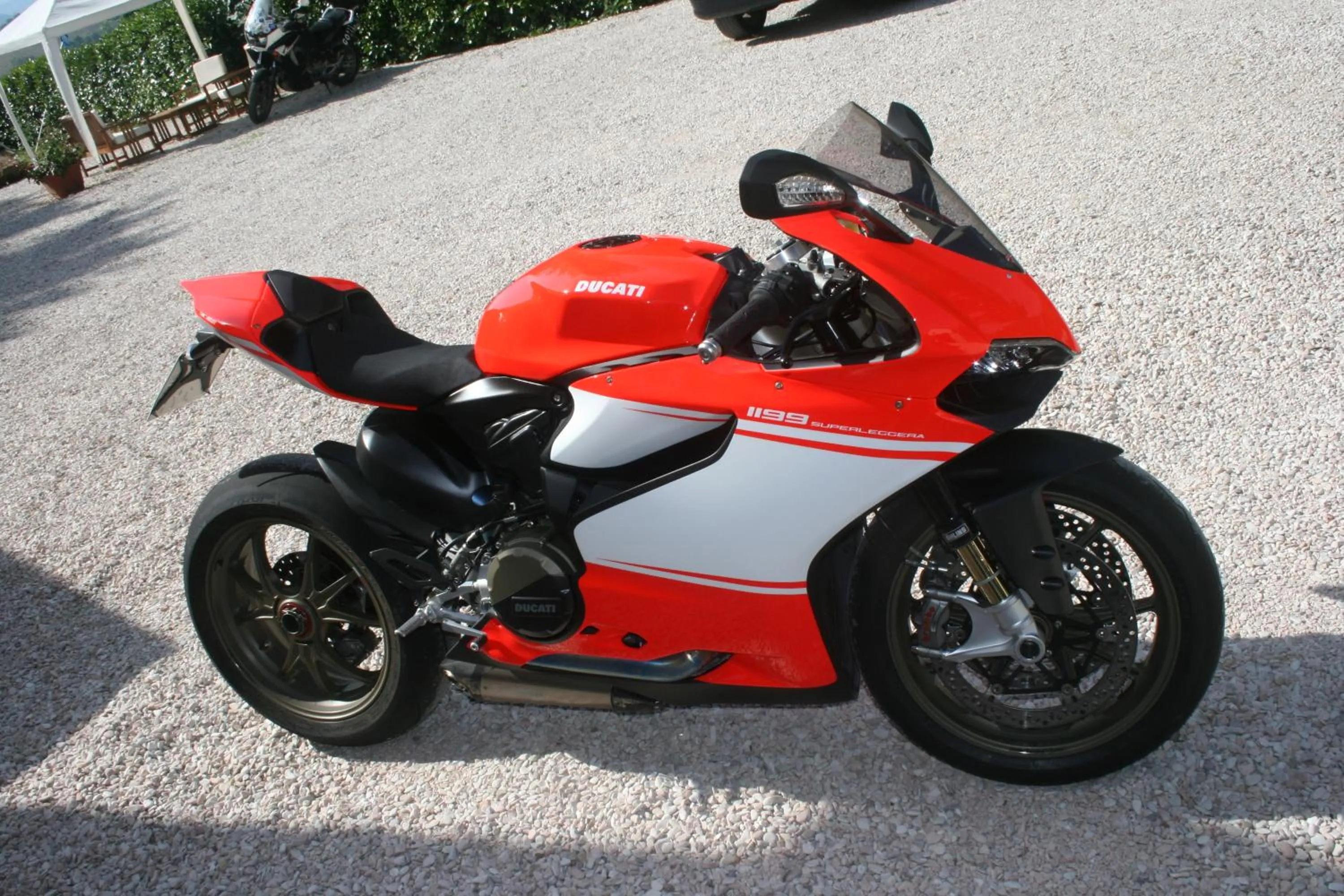 Garden in B&B La Fenice