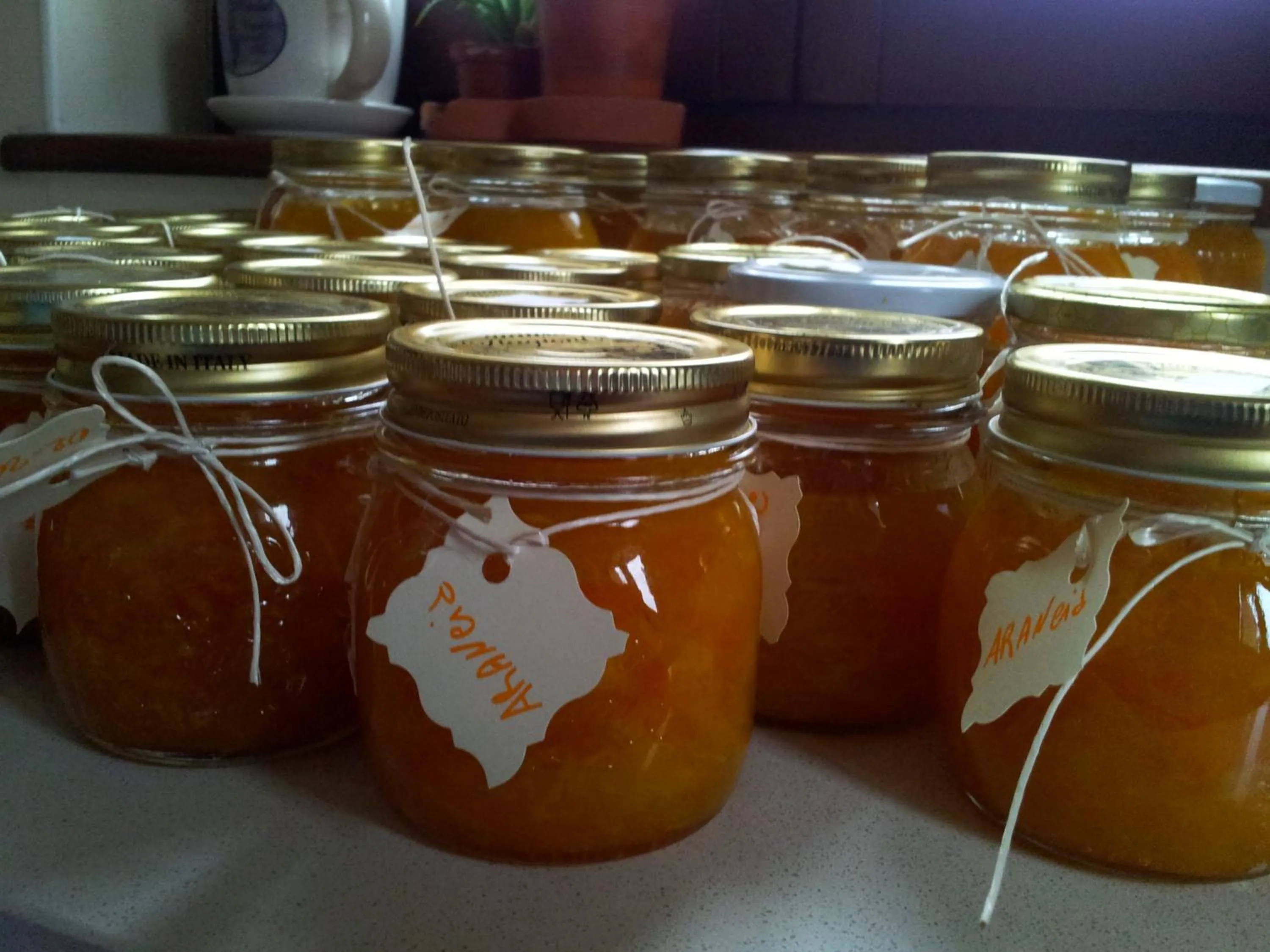 Food close-up in B&B La Fenice