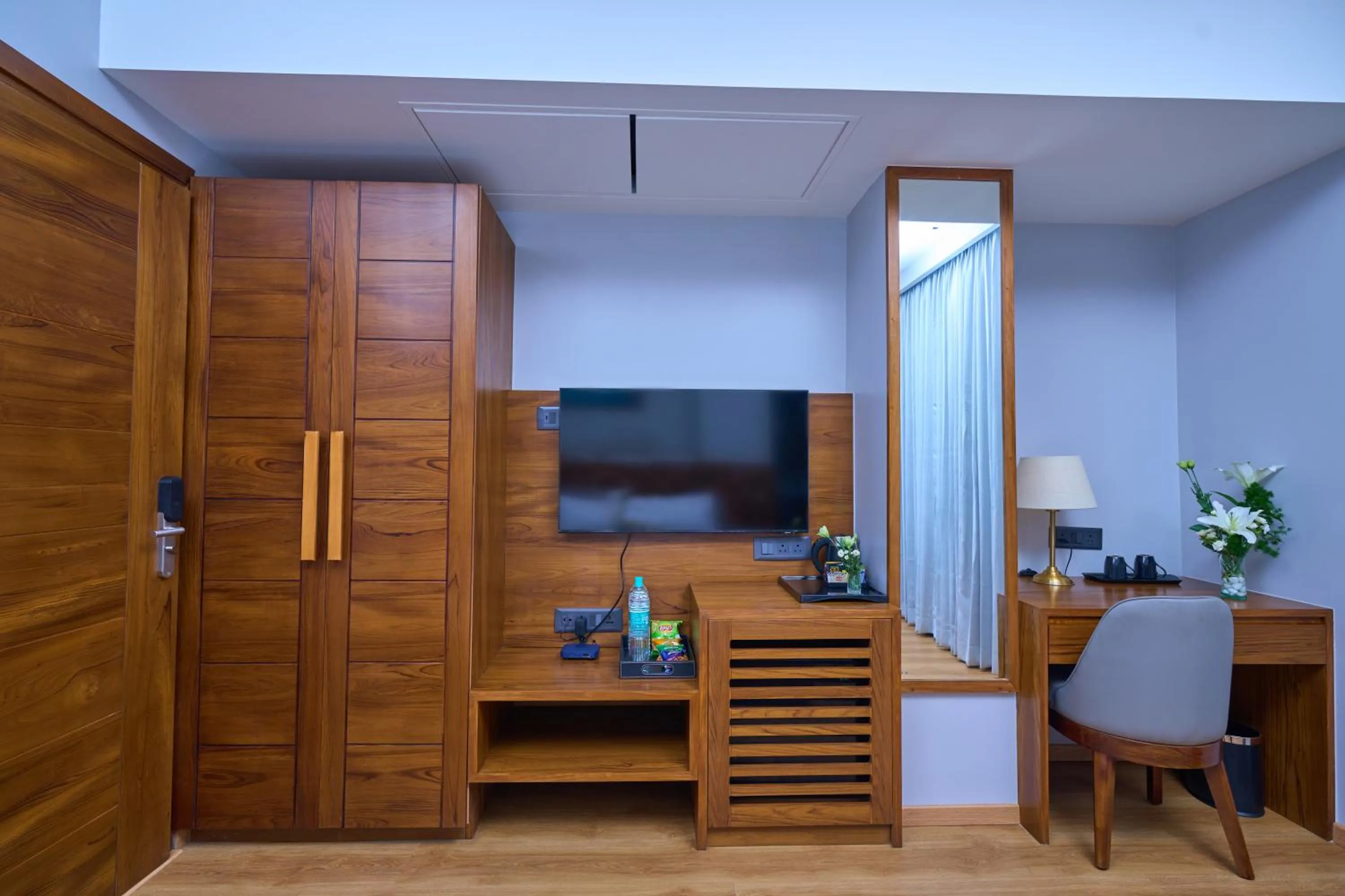 TV and multimedia in Visthara Hotel