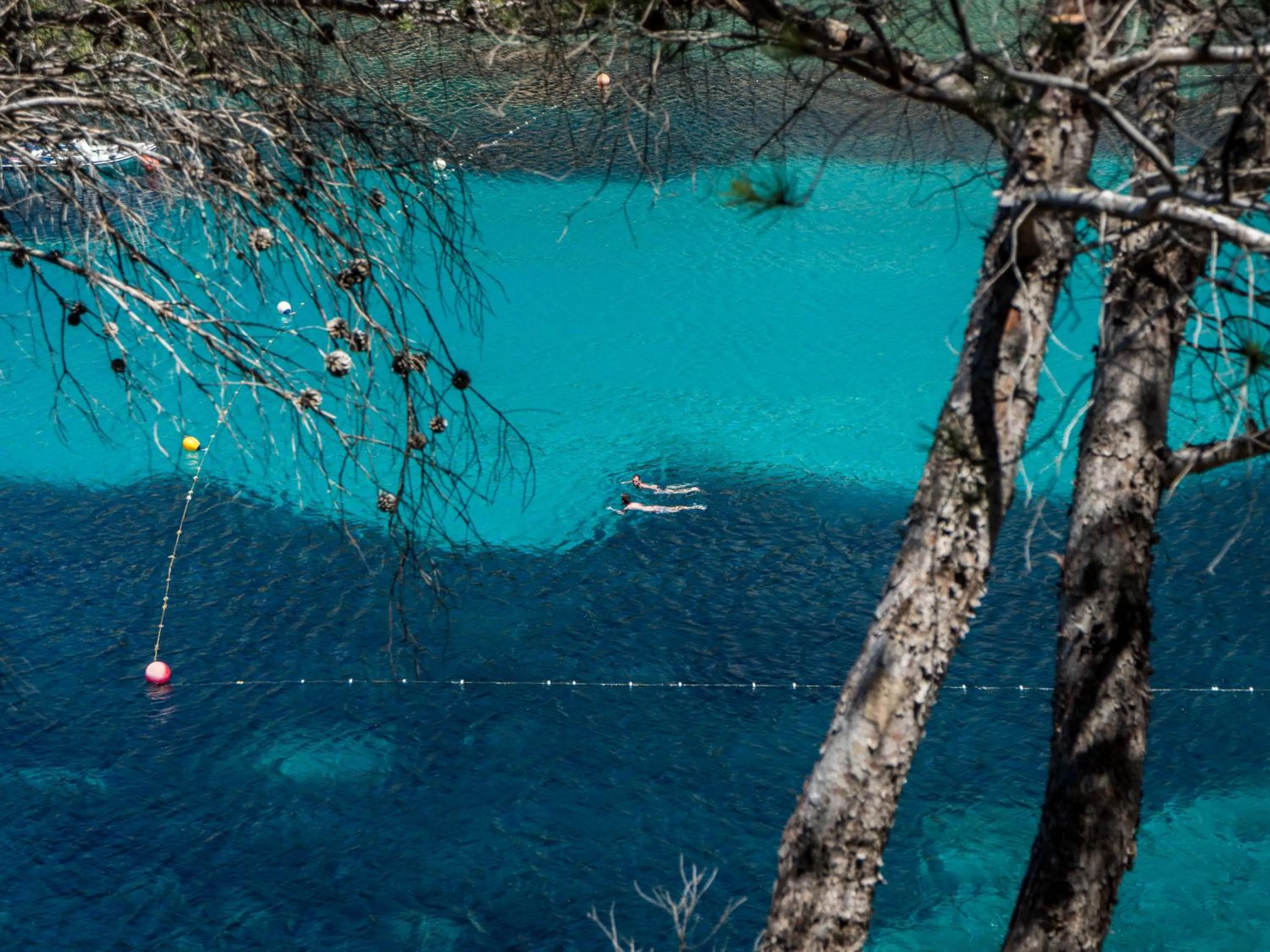 Natural landscape in Apartamentos San Miguel Park & Esmeralda Mar