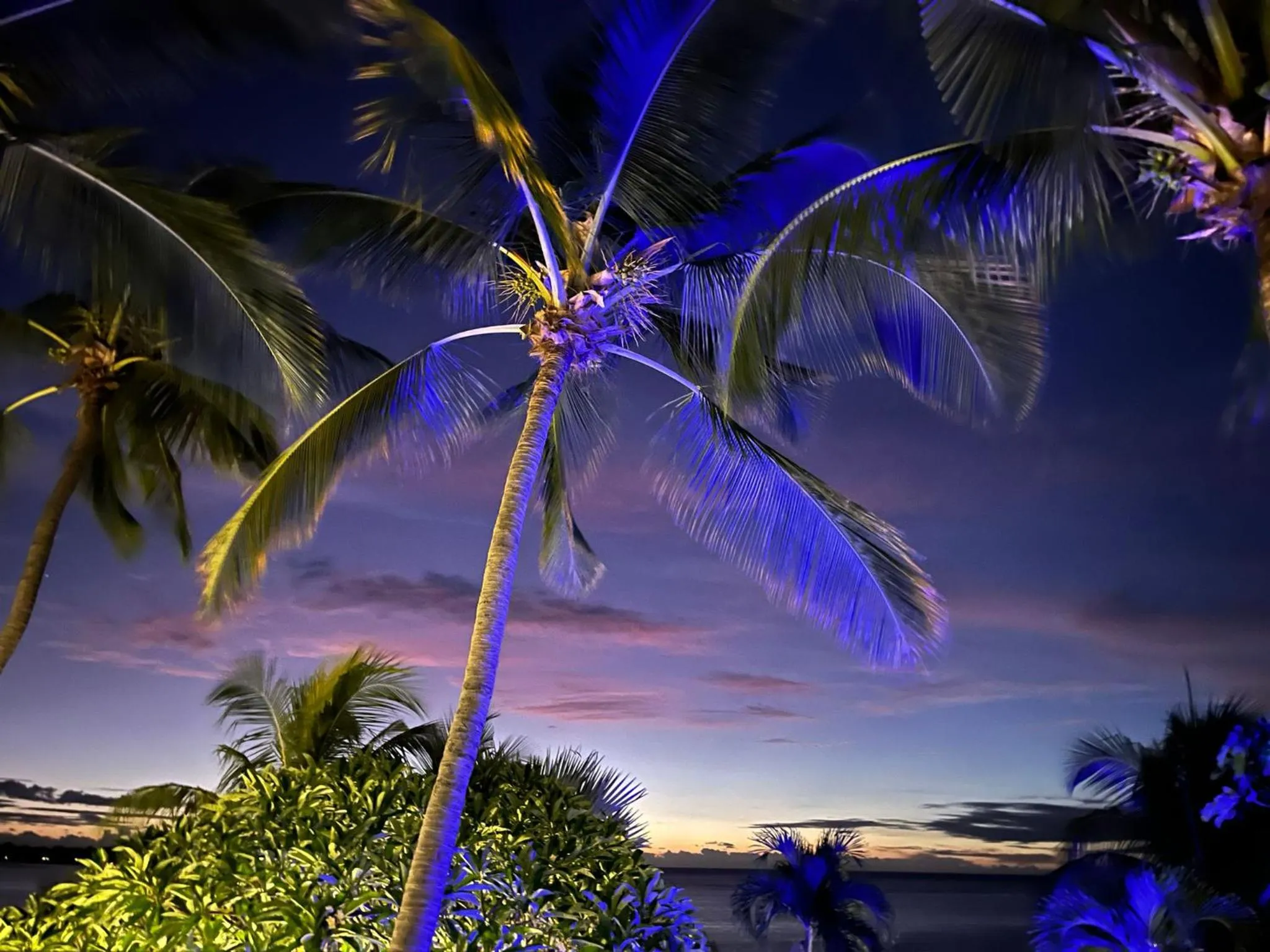 Garden view in La Maison de la plage - Guest House