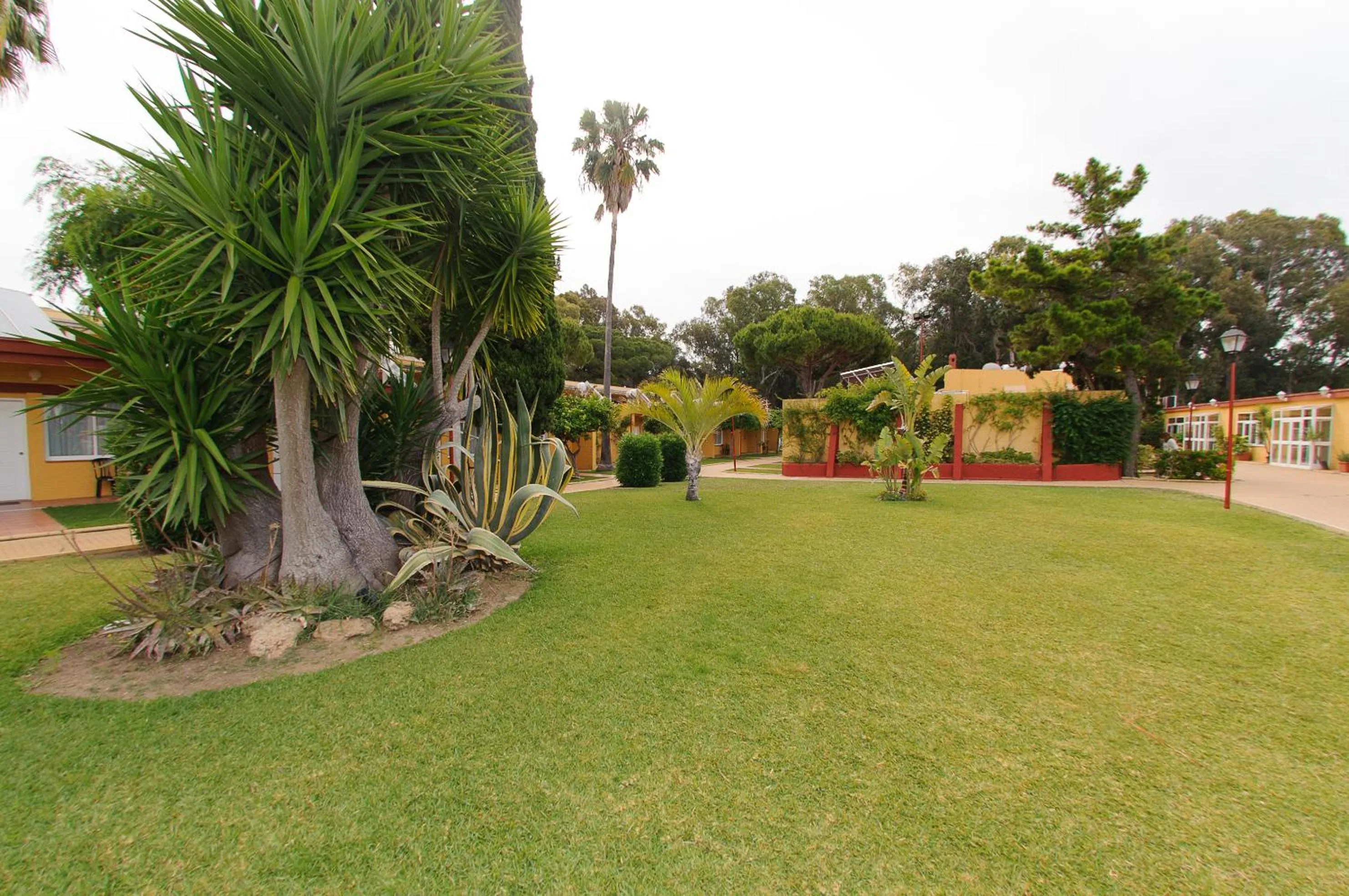 Garden in Hotel Dunas Puerto