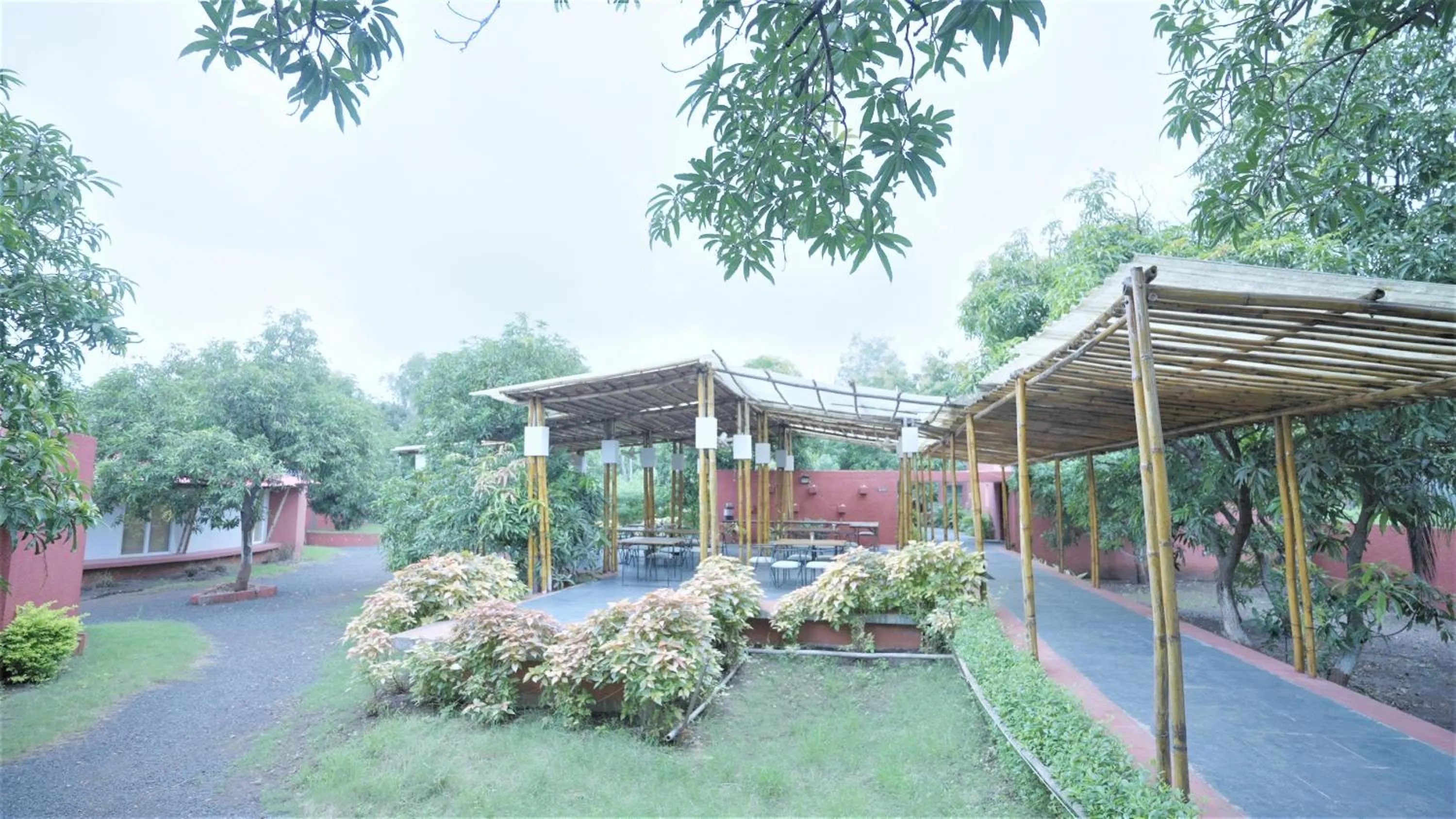 Restaurant/places to eat in Amraness Luxury Resort Sasan Gir