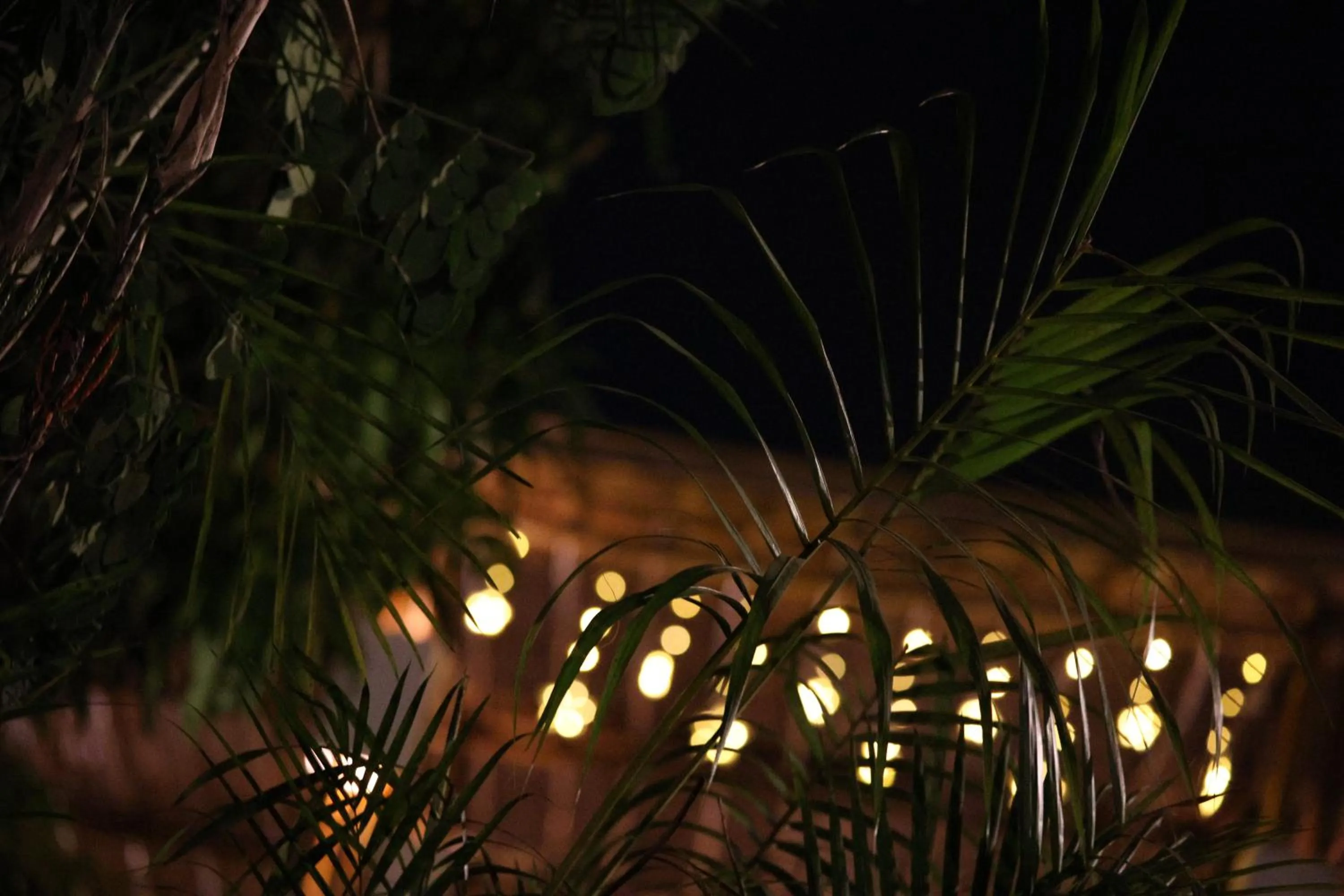 Natural landscape in Amraness Luxury Resort Sasan Gir