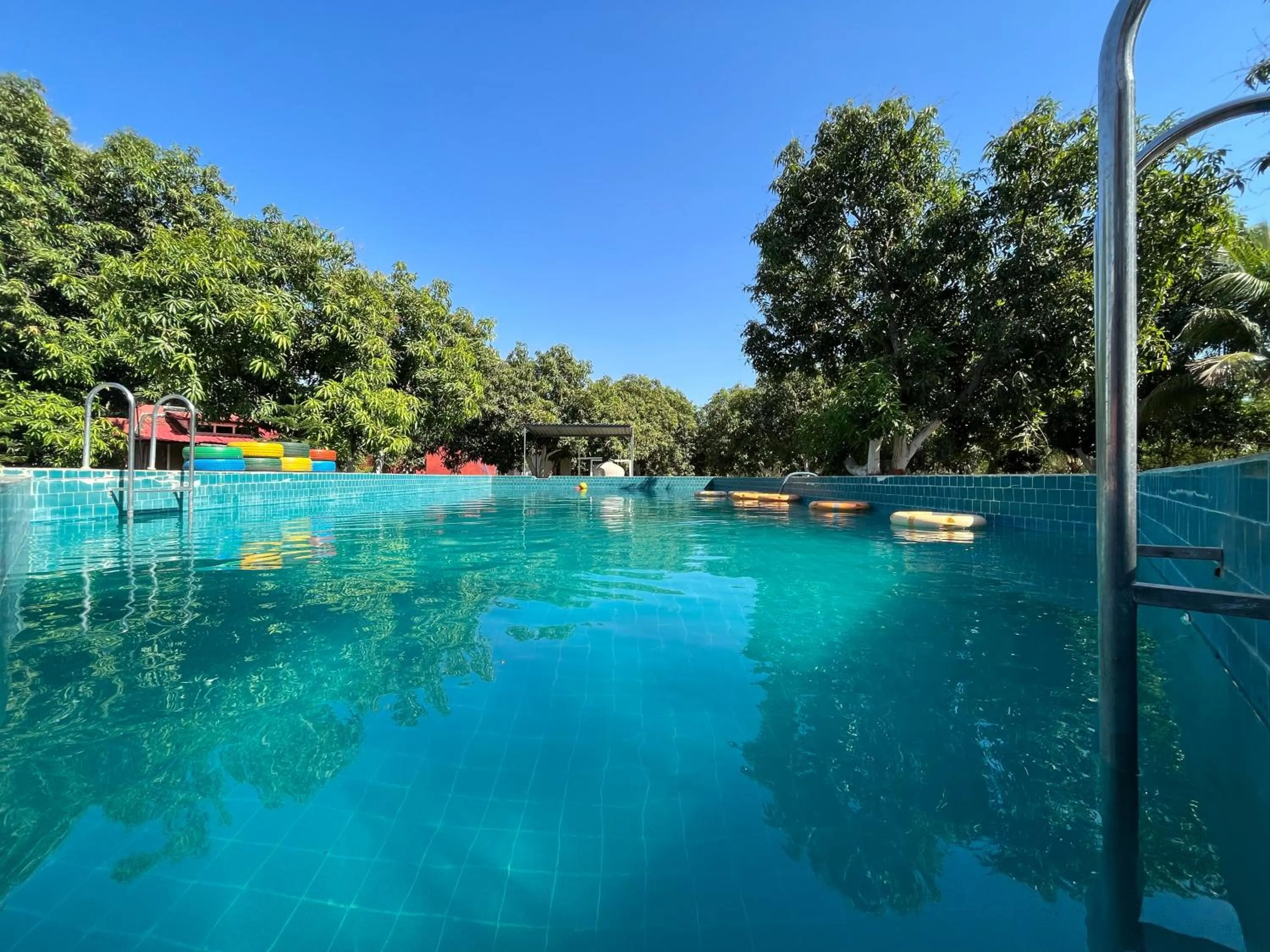 Swimming pool in Amraness Luxury Resort Sasan Gir