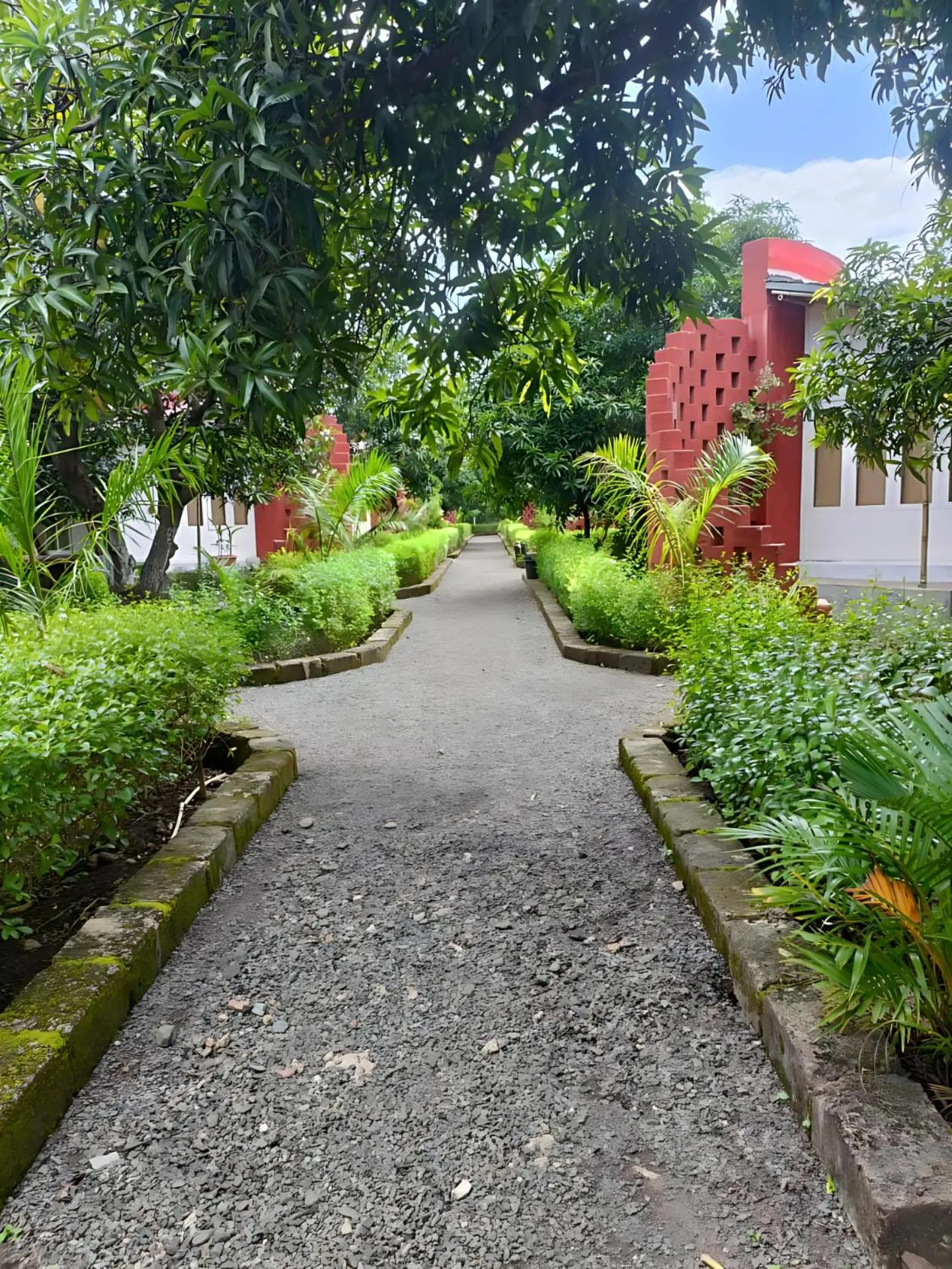 Natural landscape in Amraness Luxury Resort Sasan Gir