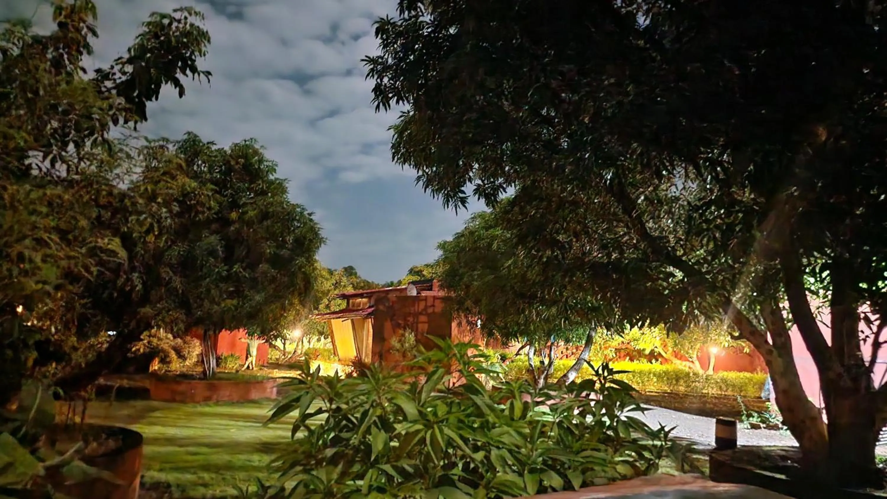 Natural landscape in Amraness Luxury Resort Sasan Gir