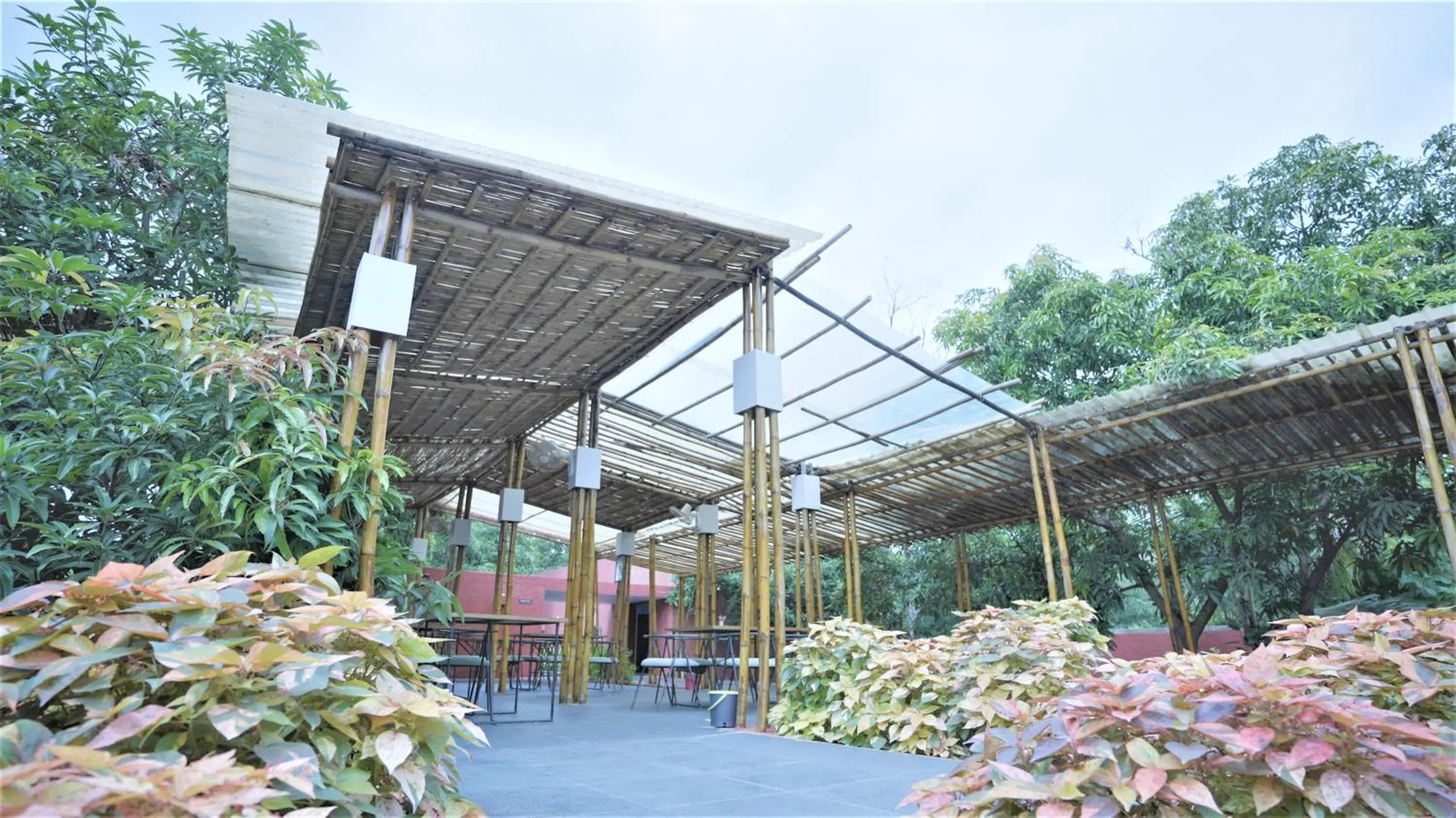 Restaurant/places to eat in Amraness Luxury Resort Sasan Gir