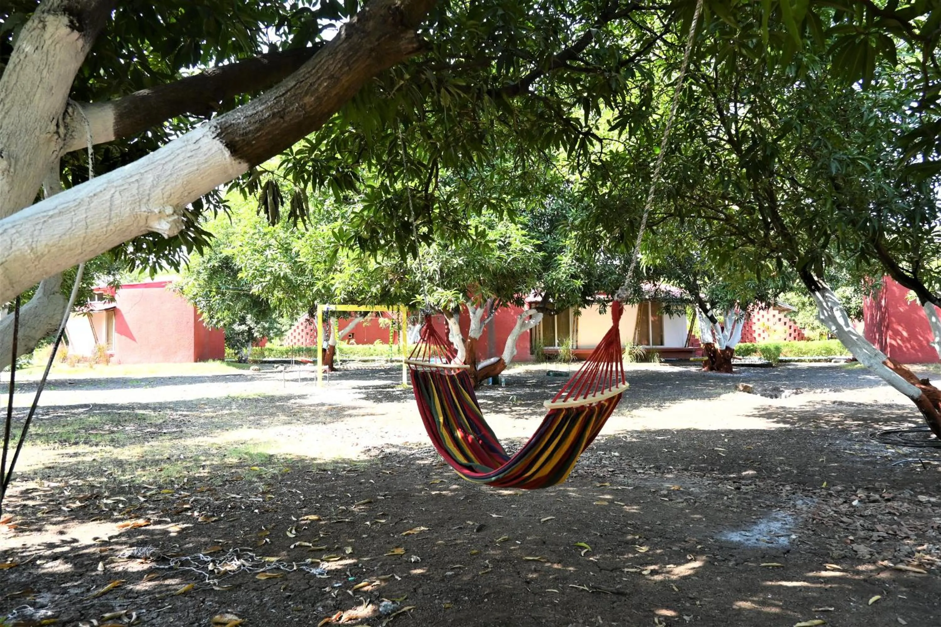 Garden view in Amraness Luxury Resort Sasan Gir