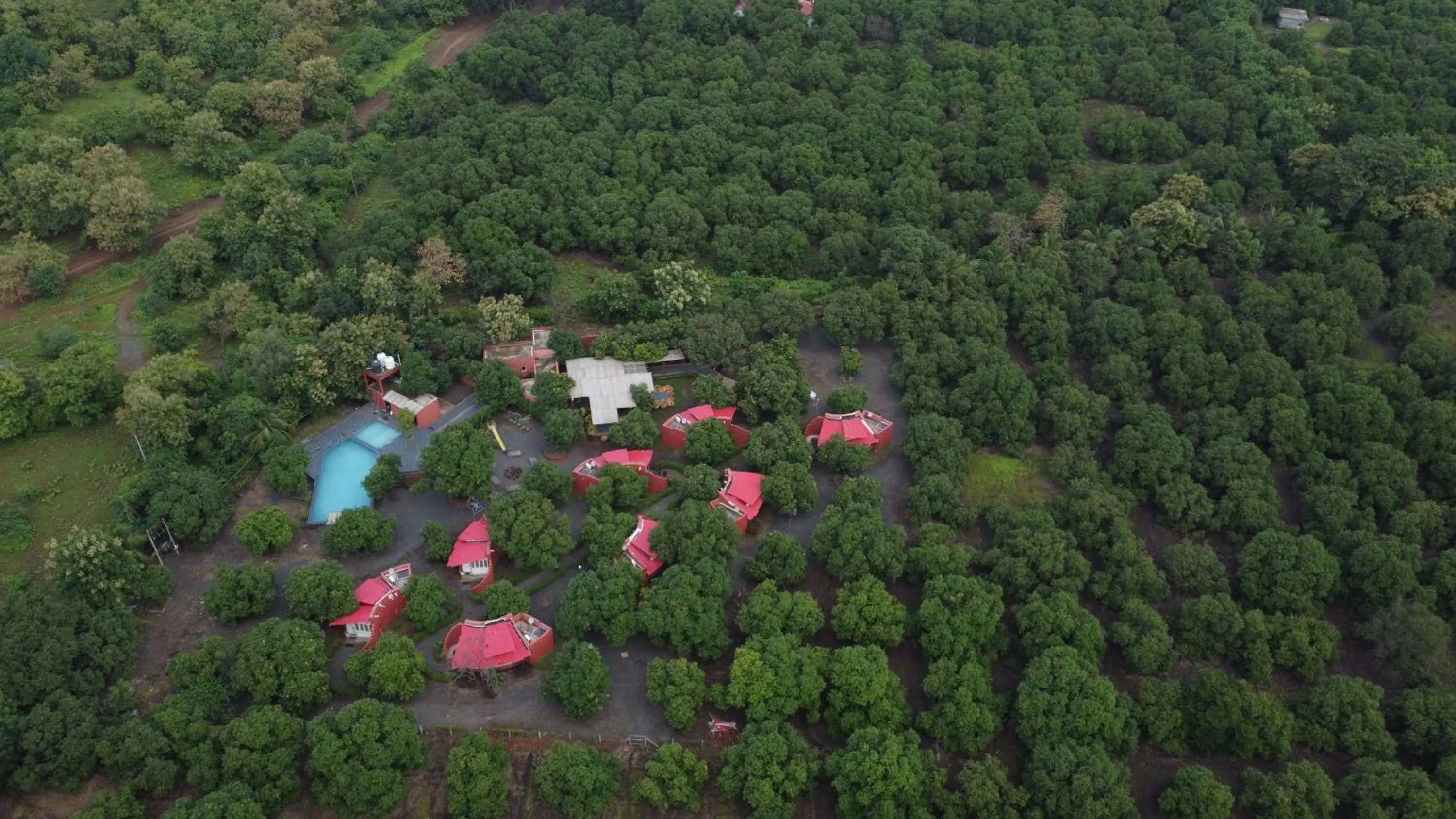 Natural landscape in Amraness Luxury Resort Sasan Gir