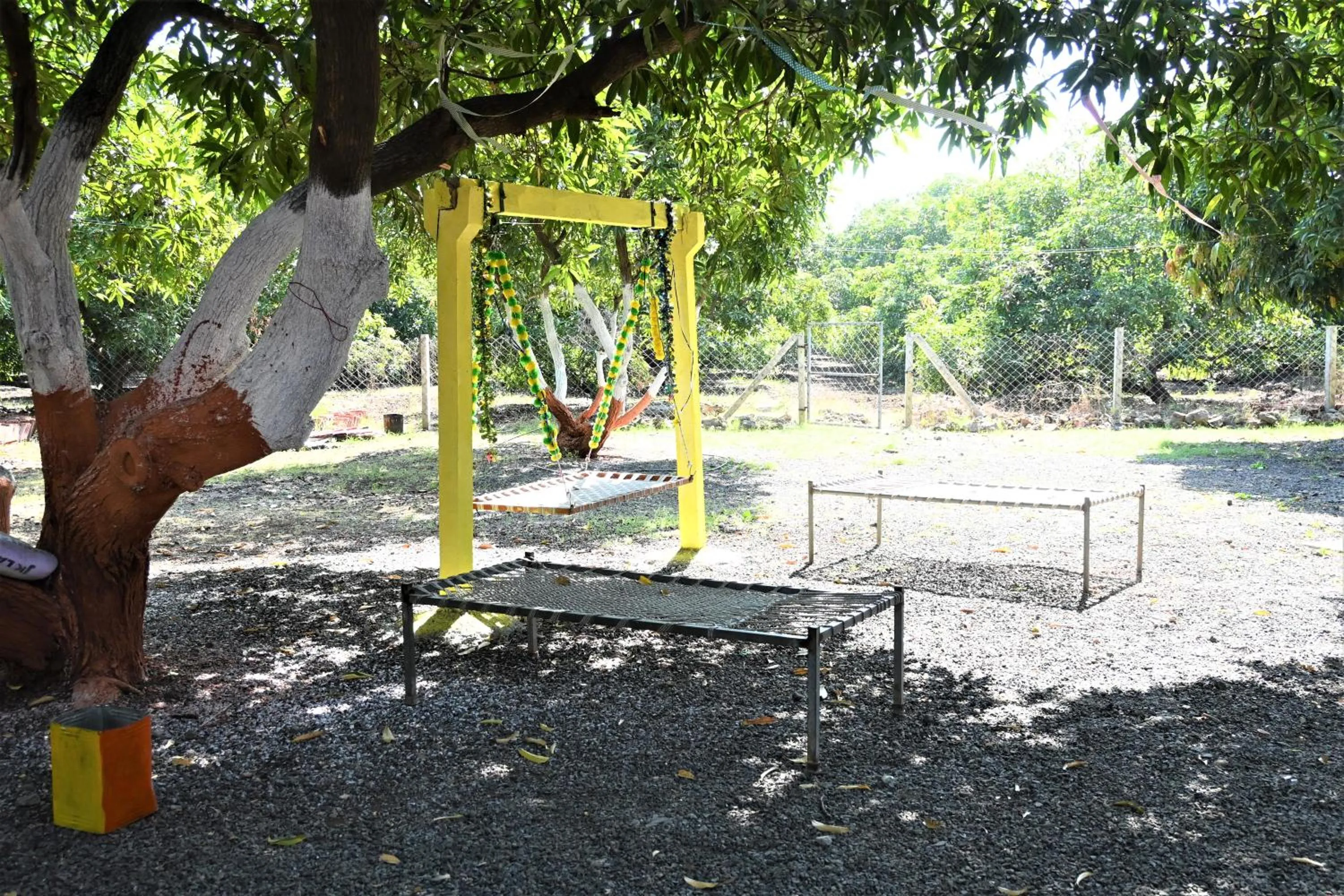 Day in Amraness Luxury Resort Sasan Gir