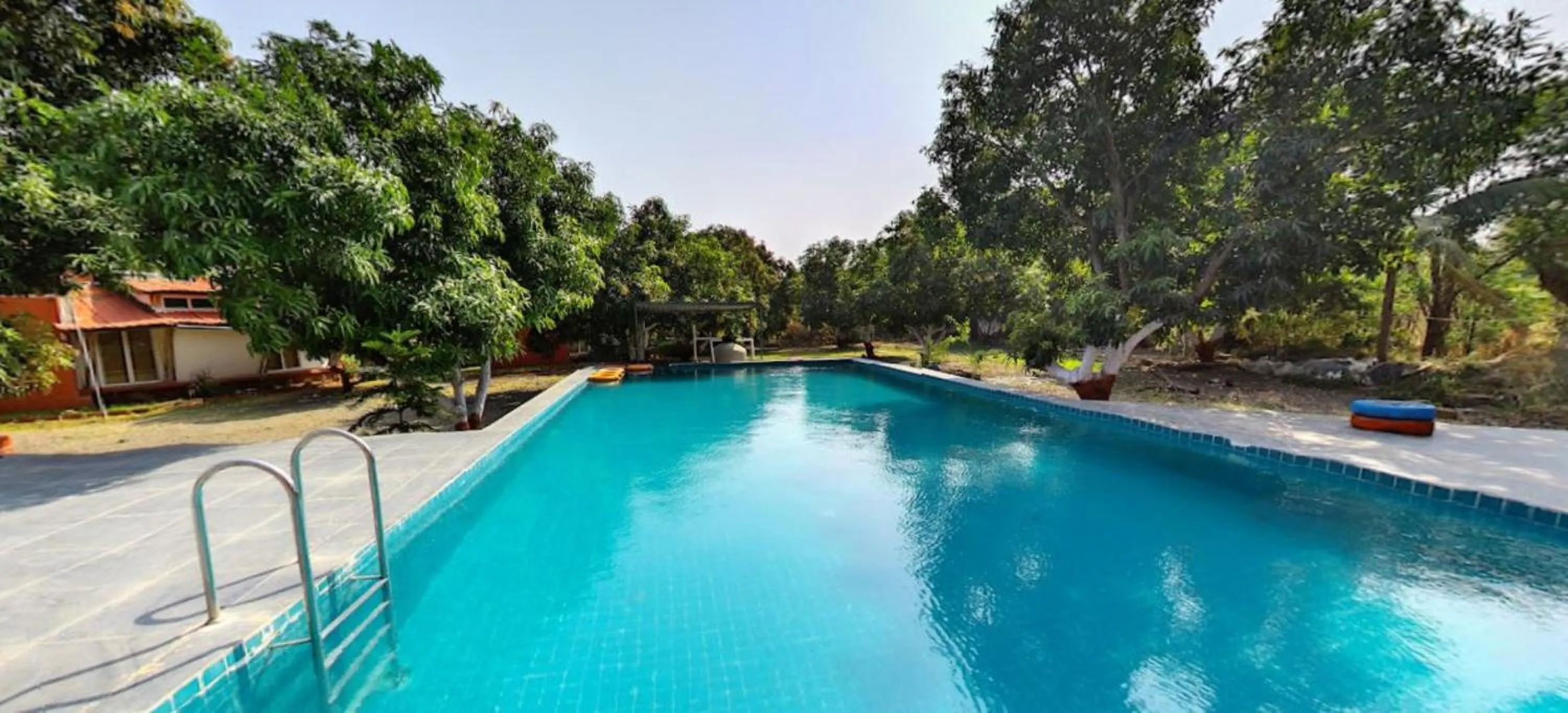 Swimming pool in Amraness Luxury Resort Sasan Gir
