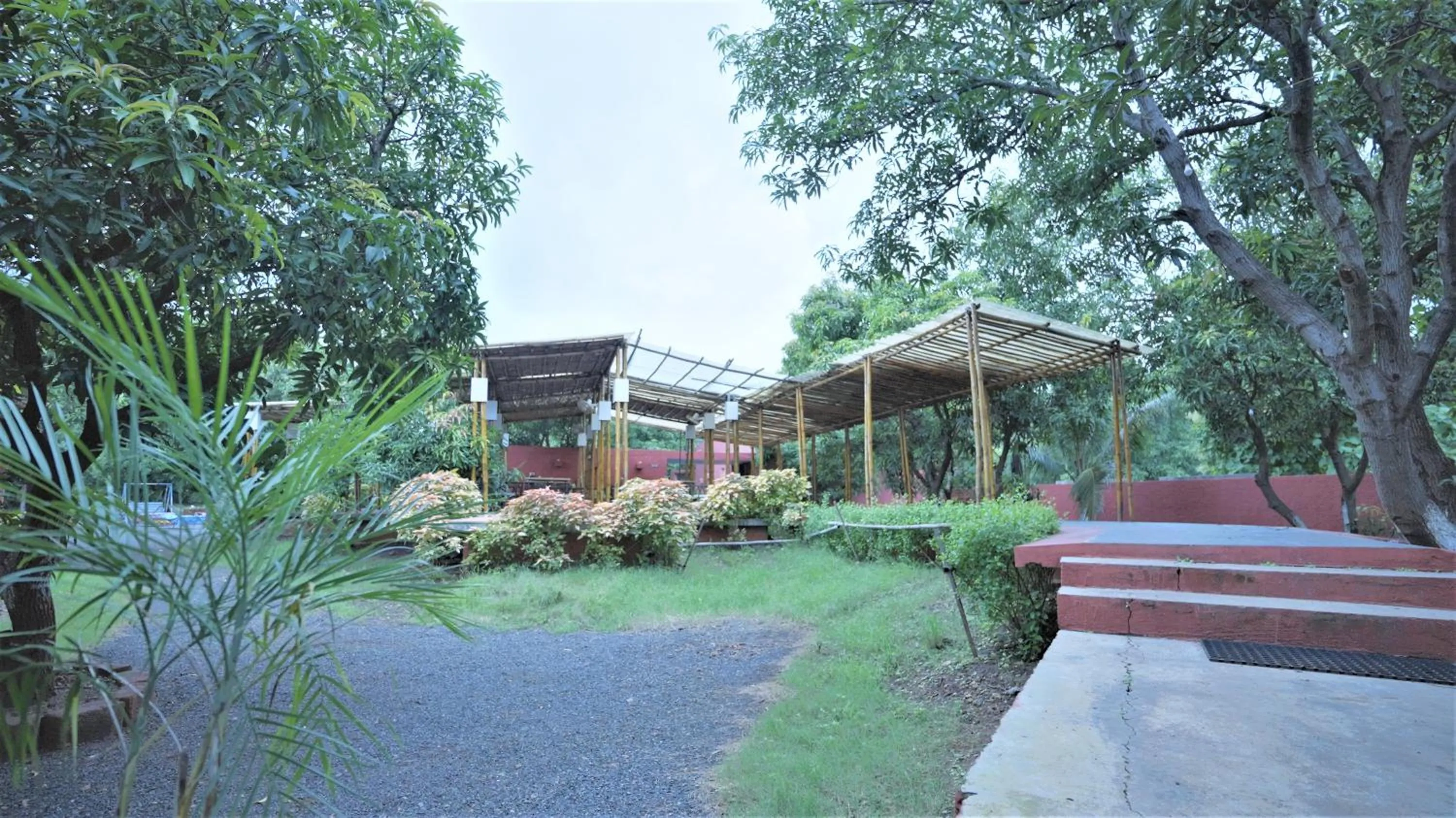 Restaurant/places to eat in Amraness Luxury Resort Sasan Gir