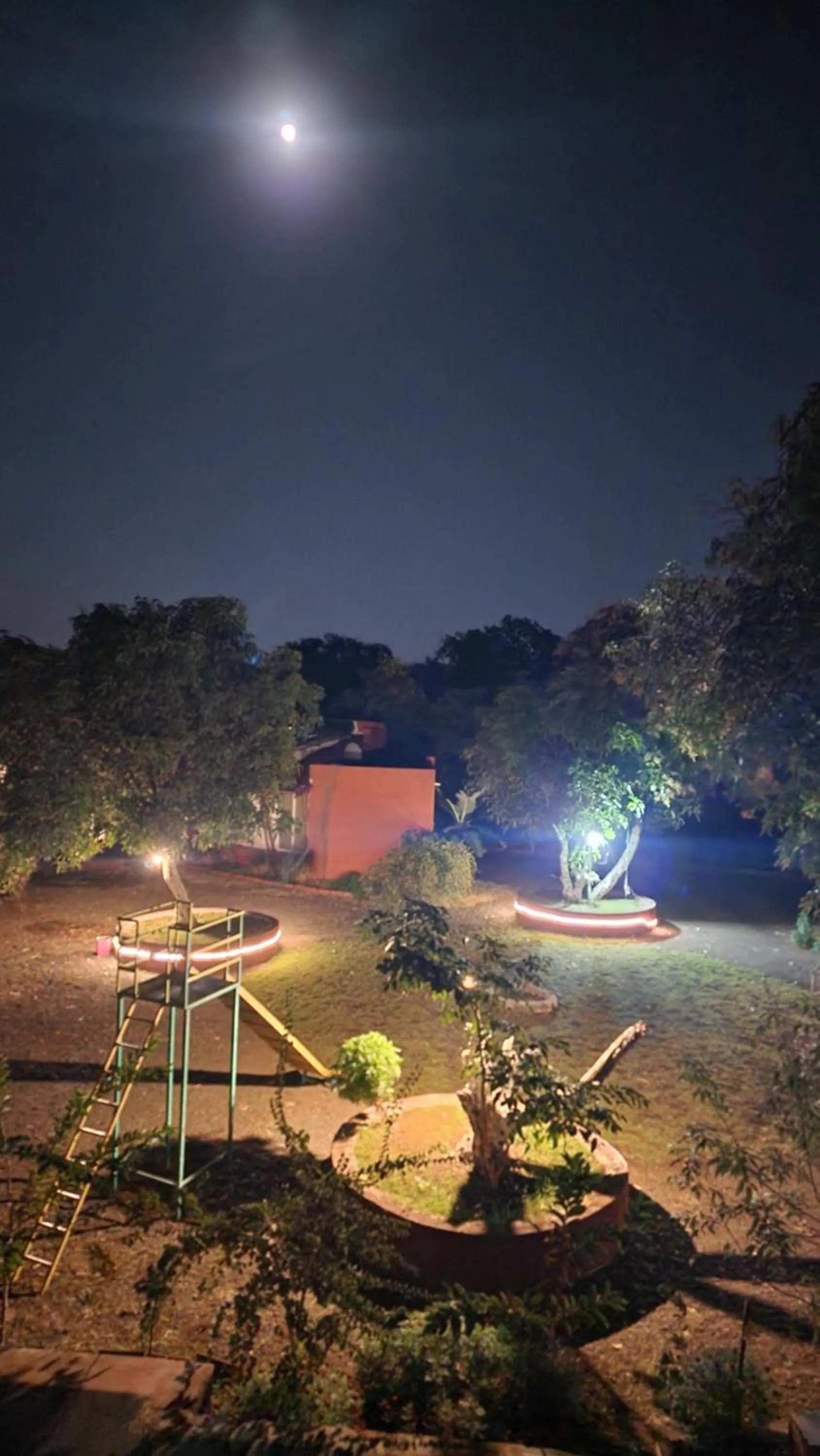 Night in Amraness Luxury Resort Sasan Gir