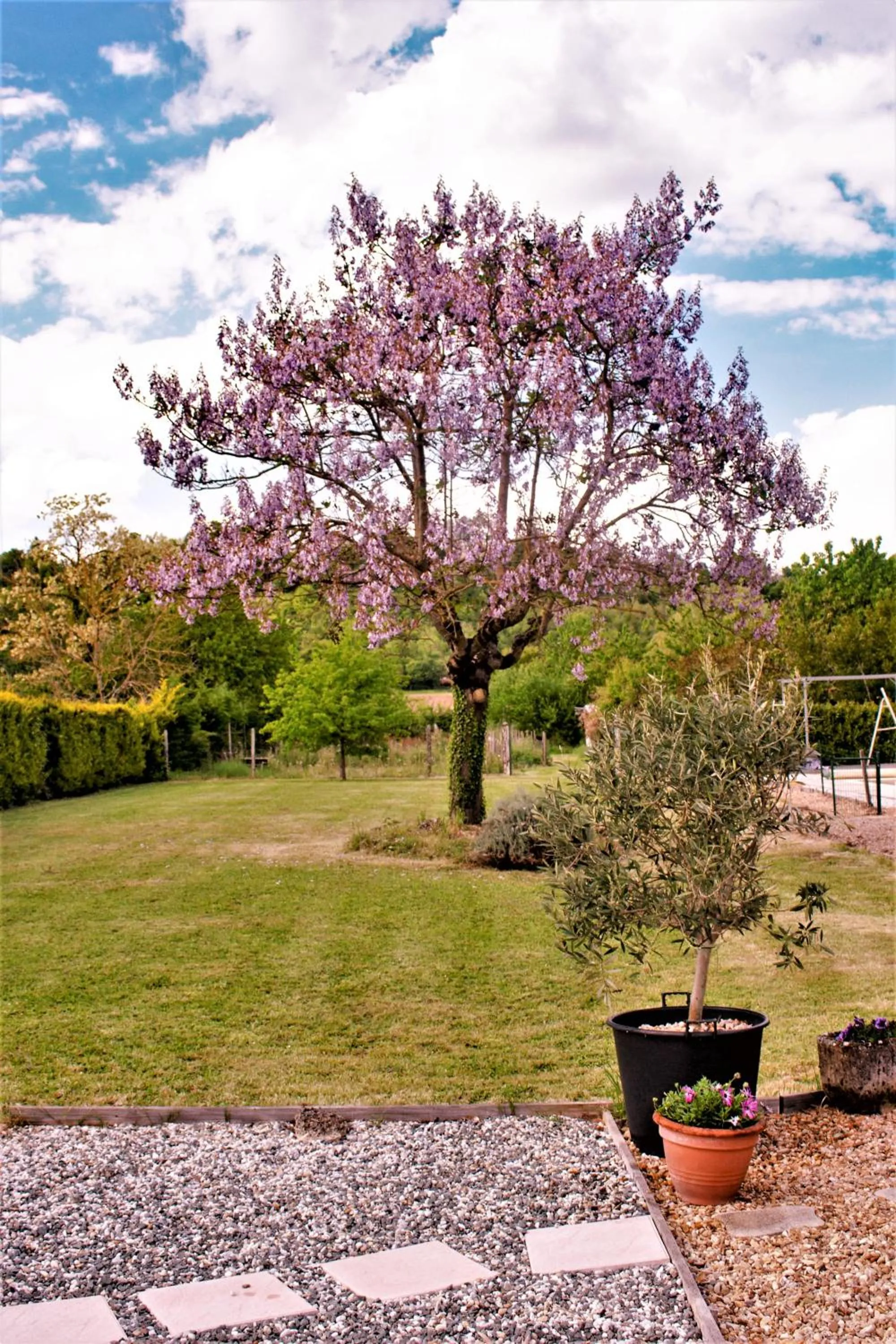 Le Grand Chemin de La Vie