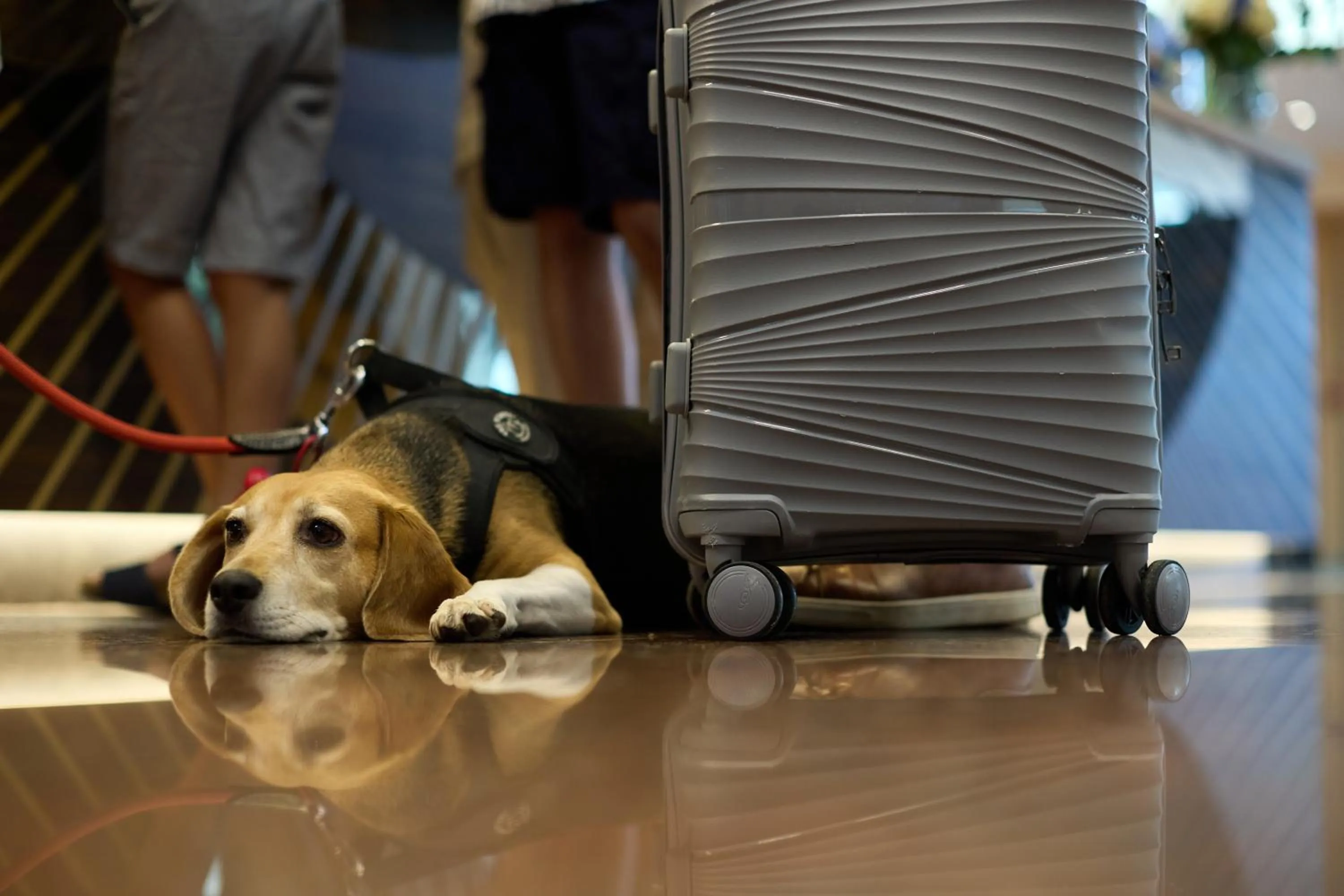 Lobby or reception in Quark Hotel Milano