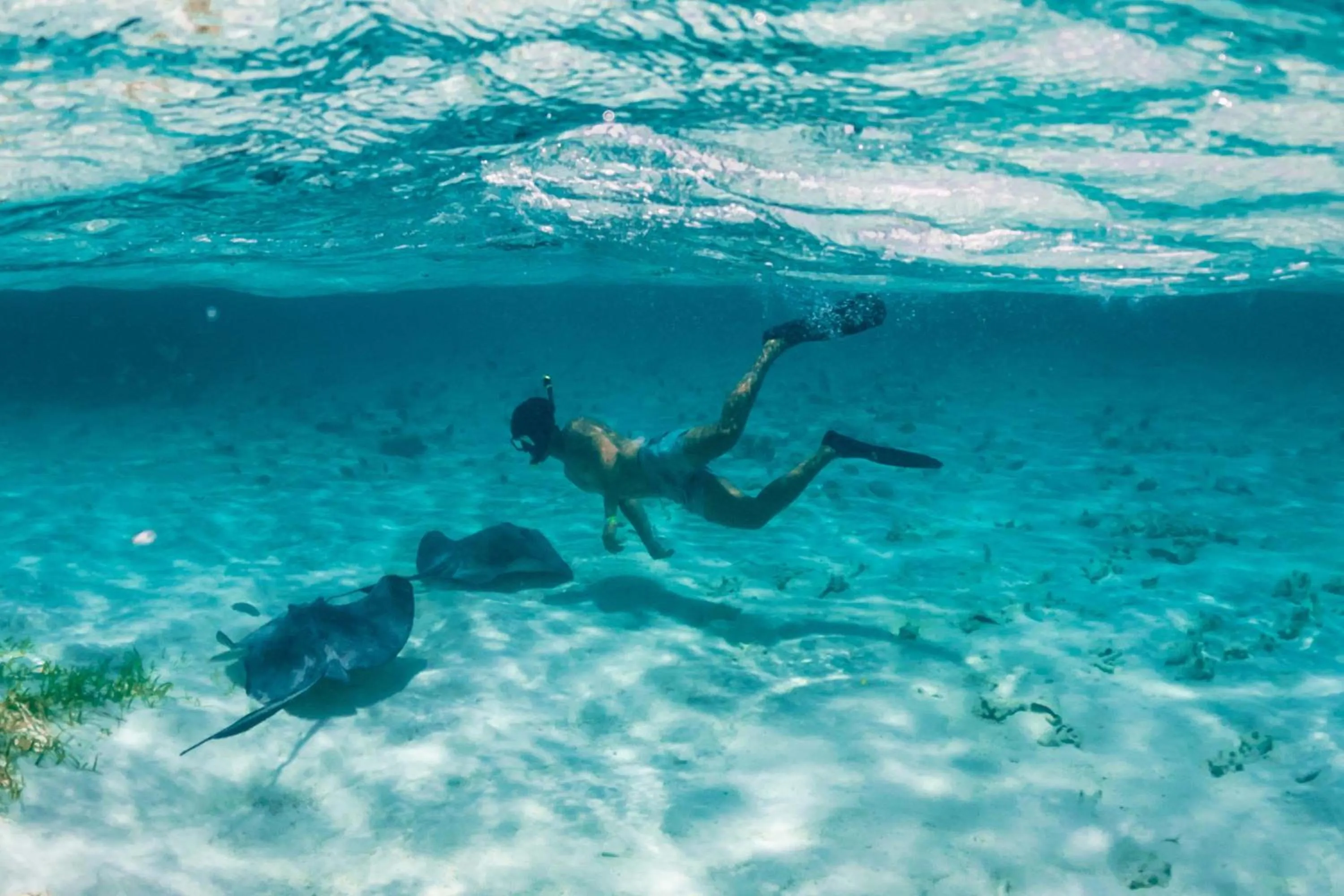Snorkeling in Reef Haven Belize