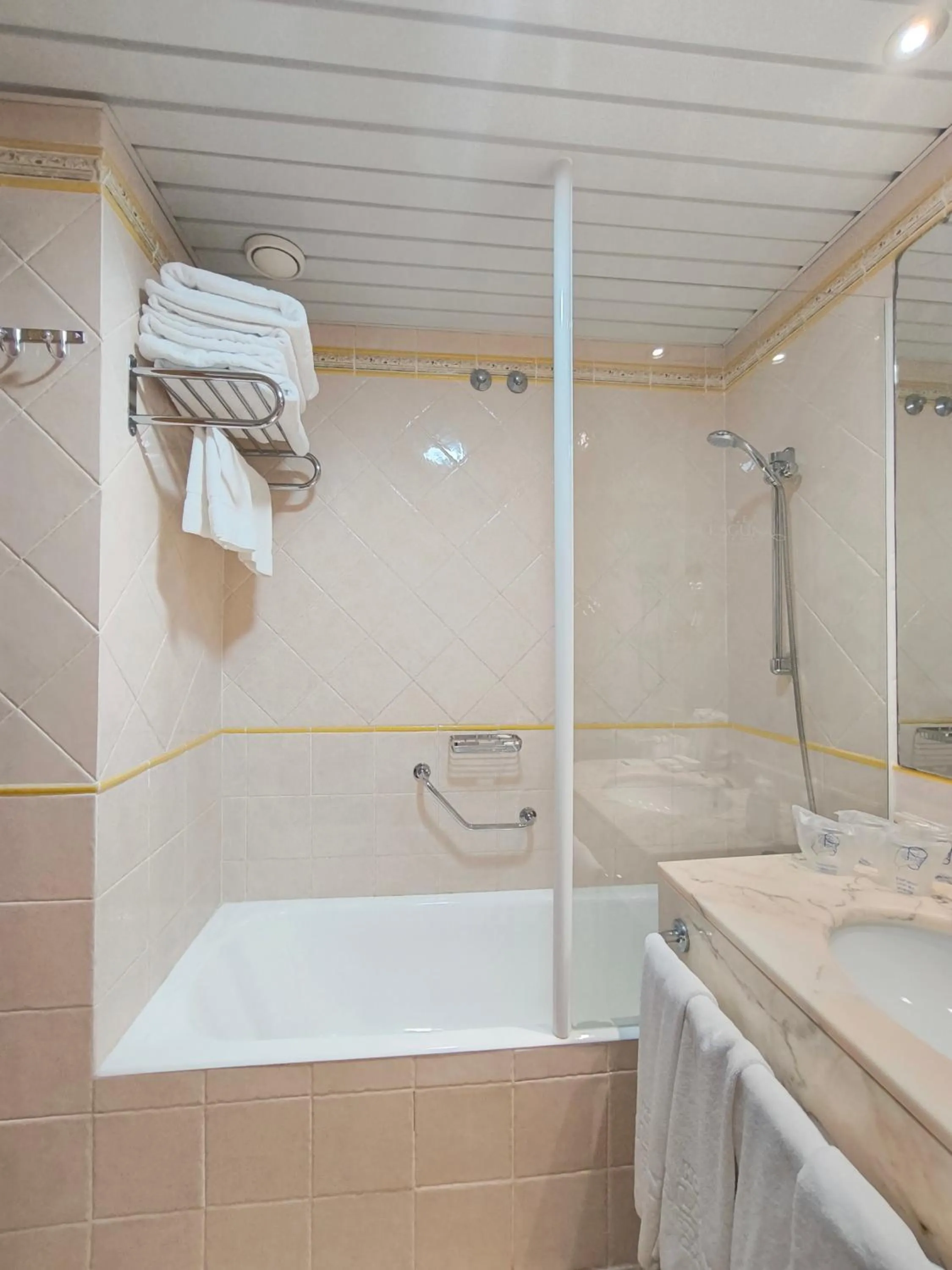 Bathroom in Hotel La Laguna Spa & Golf