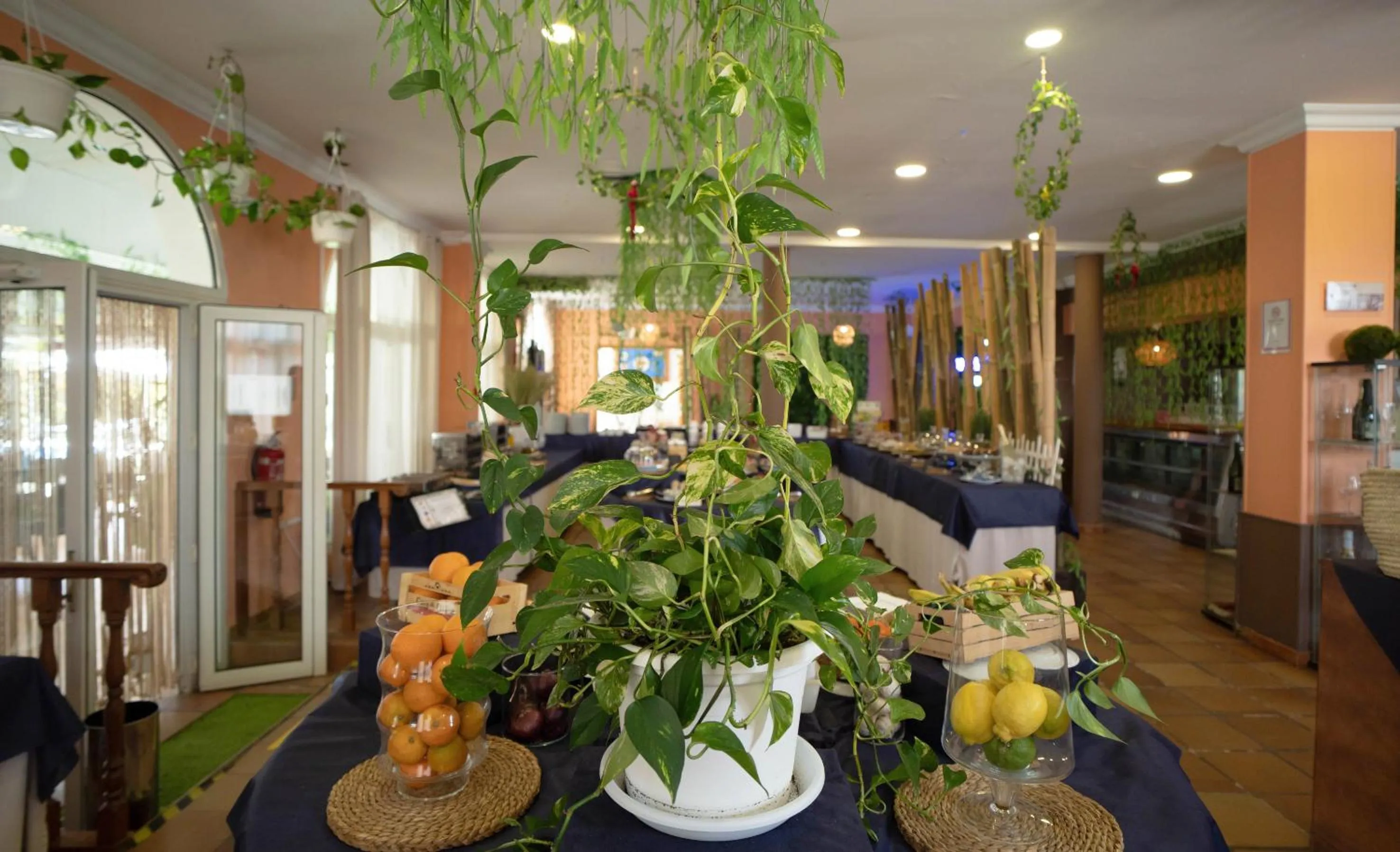 Breakfast in Hotel Albaida Nature