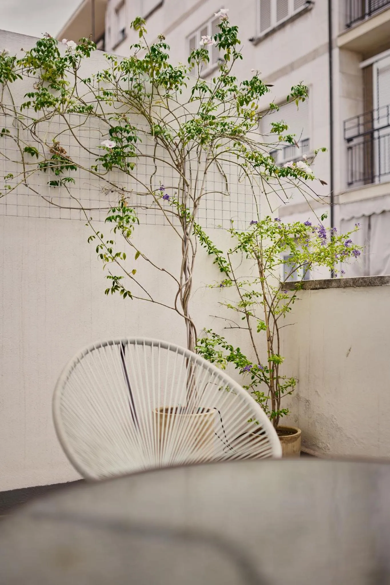 Off site in Reyes Católicos