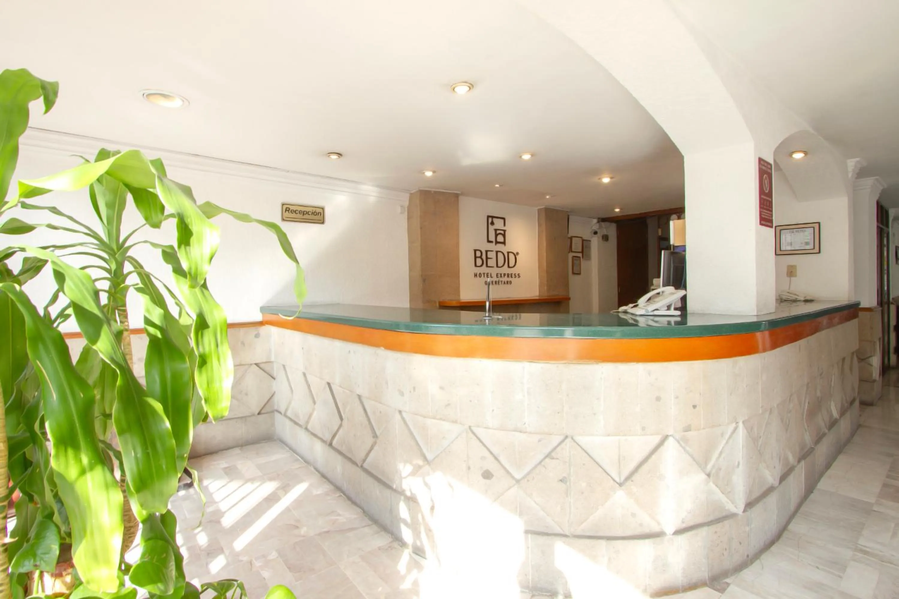 Lobby or reception in Hotel Bedd Express Querétaro