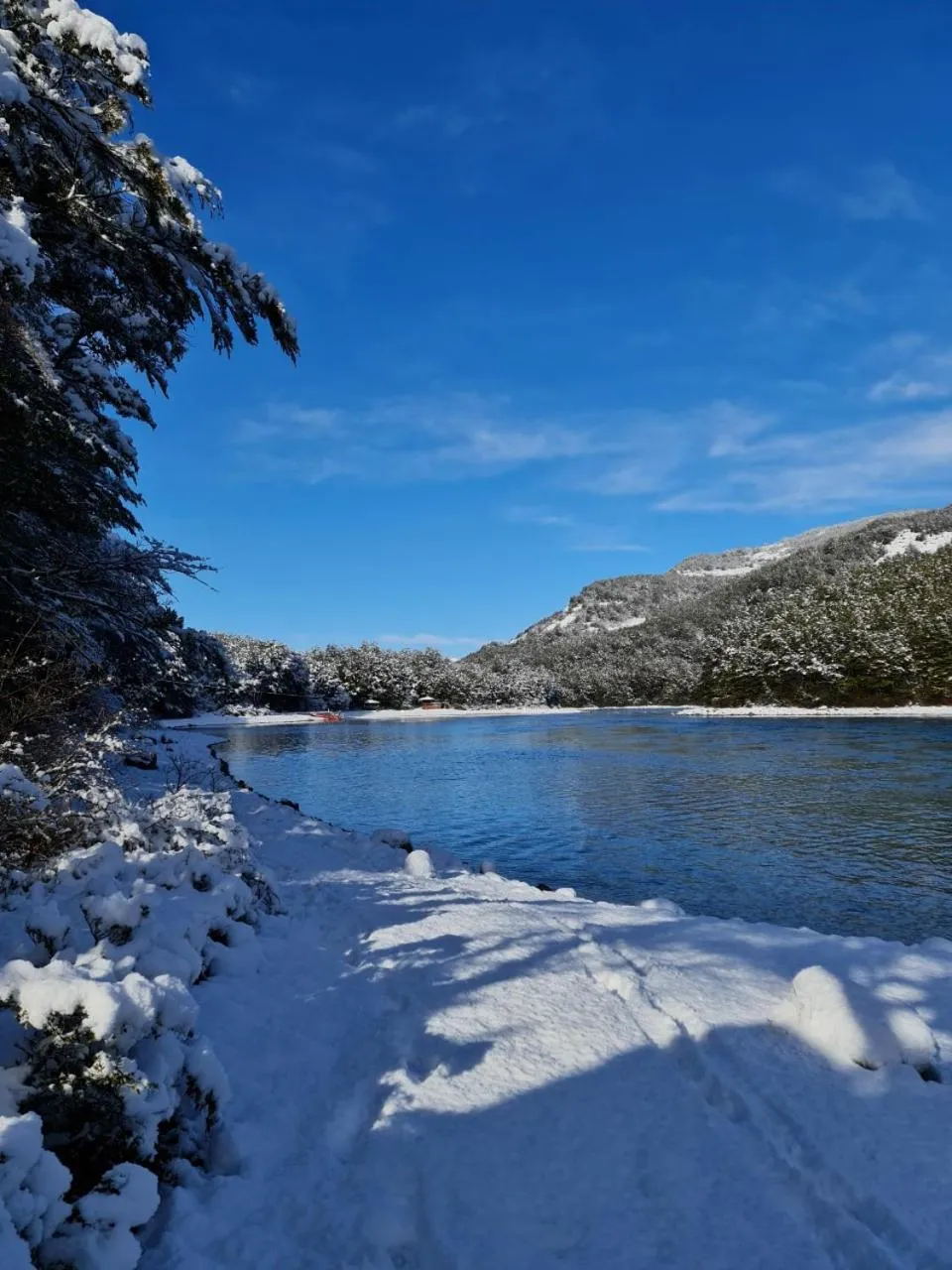 Day in Green Baker Lodge