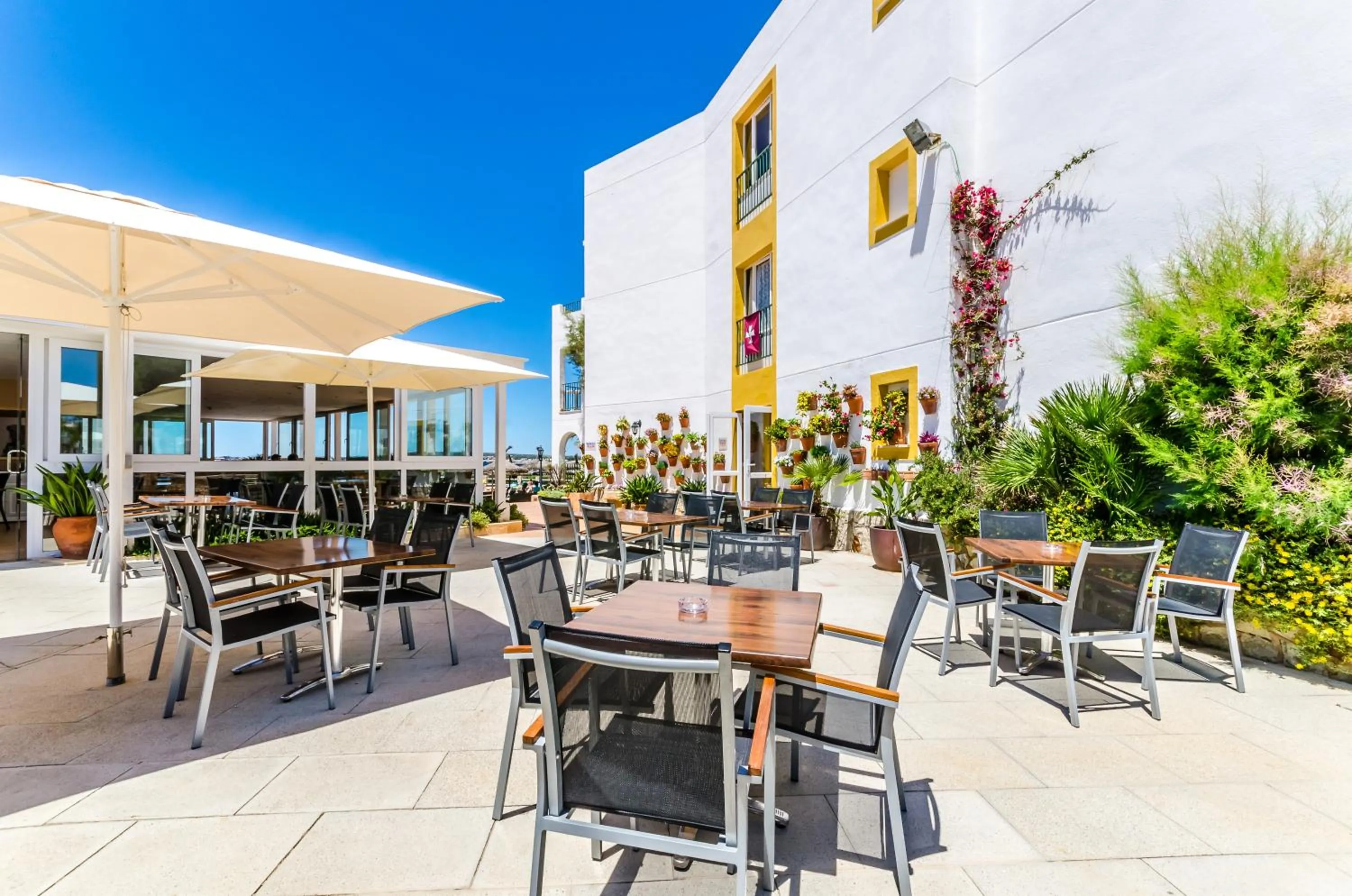 Patio in Apartamentos Blancala