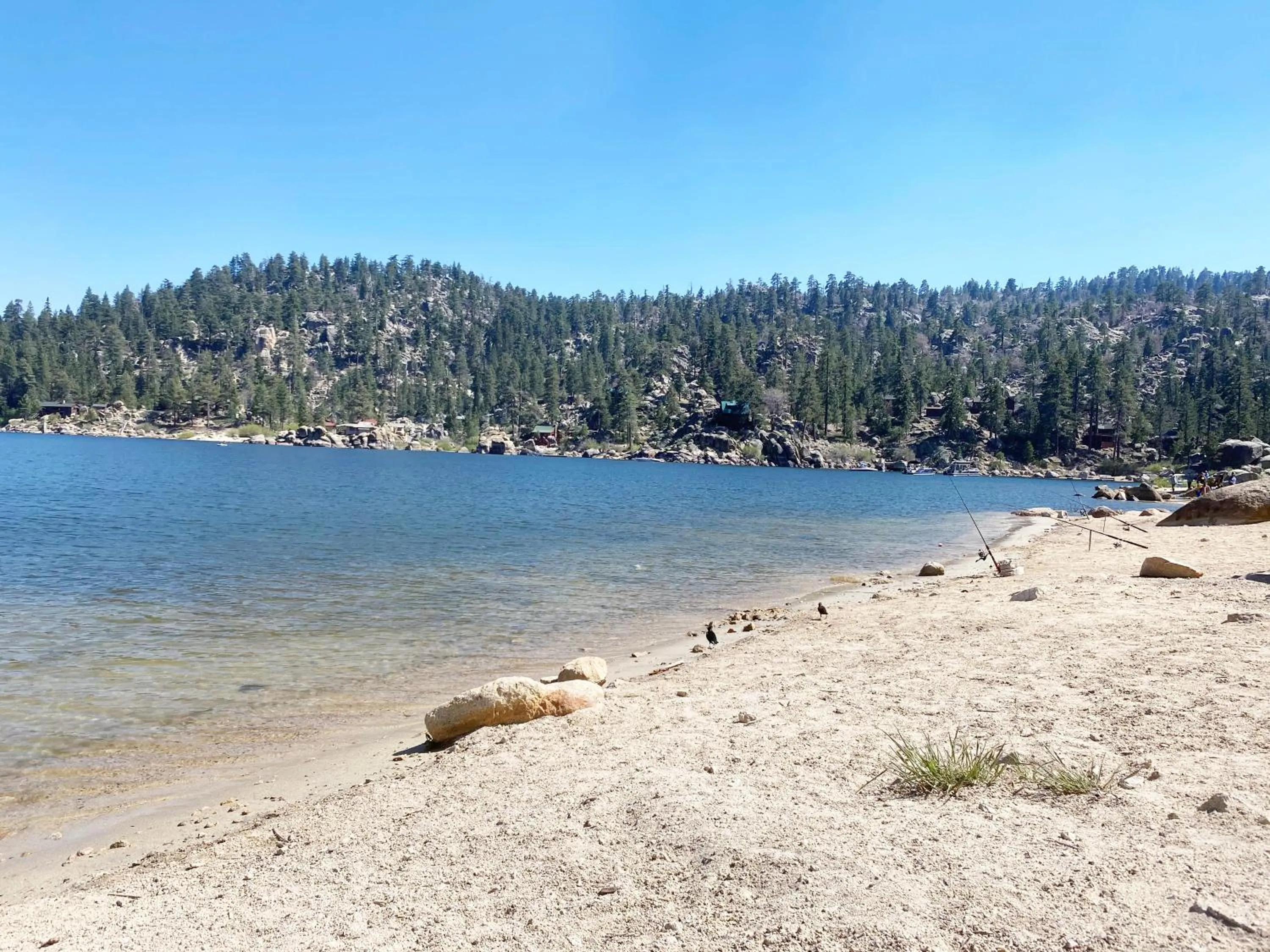 Fishing in ITH Big Bear Lake Hostel & Lodge