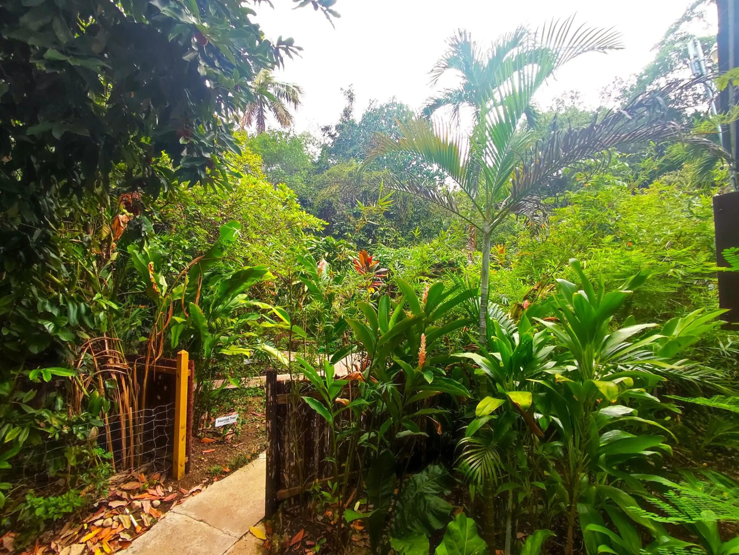 Natural landscape in Maya Mountain Lodge