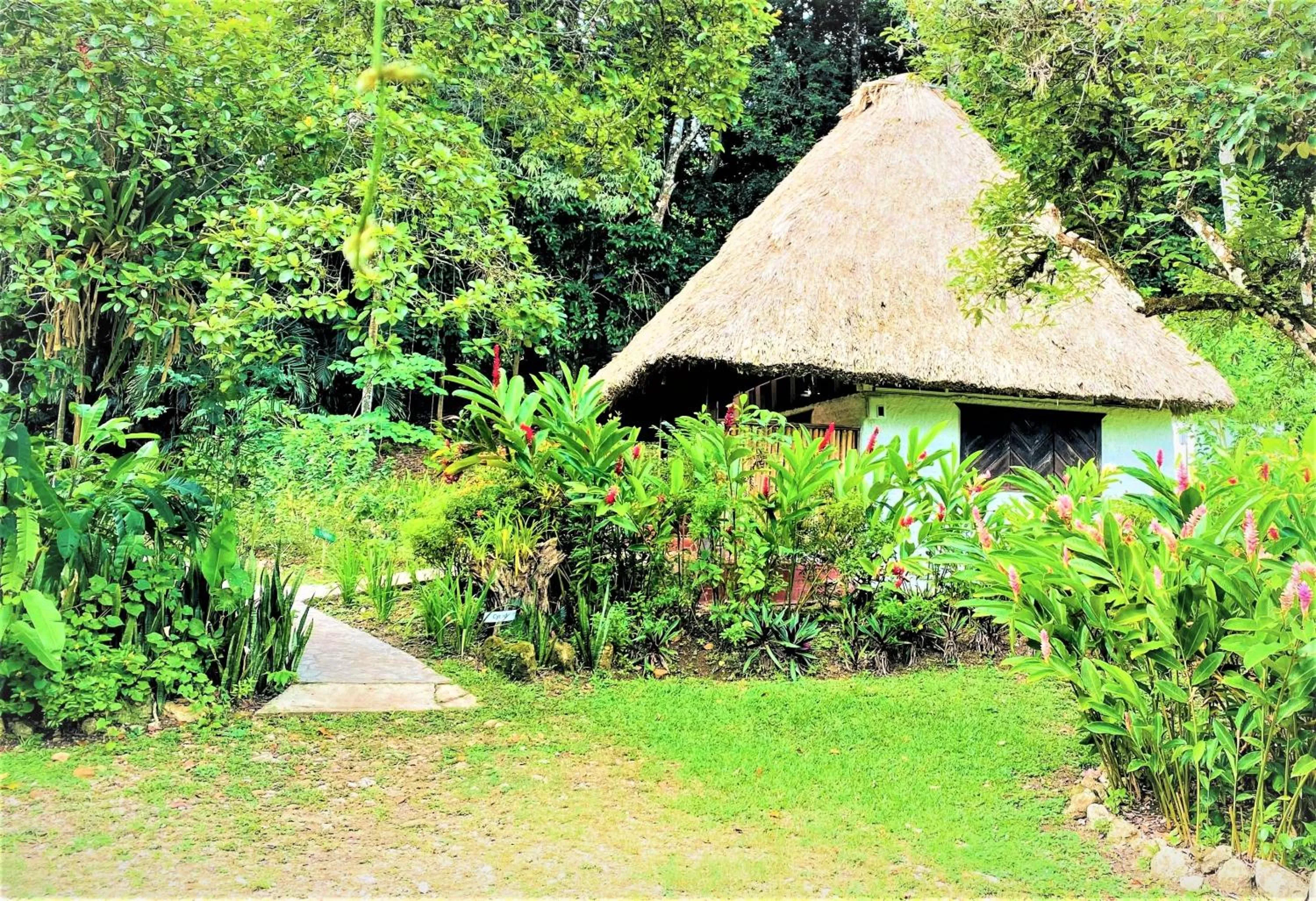 Property building in Maya Mountain Lodge