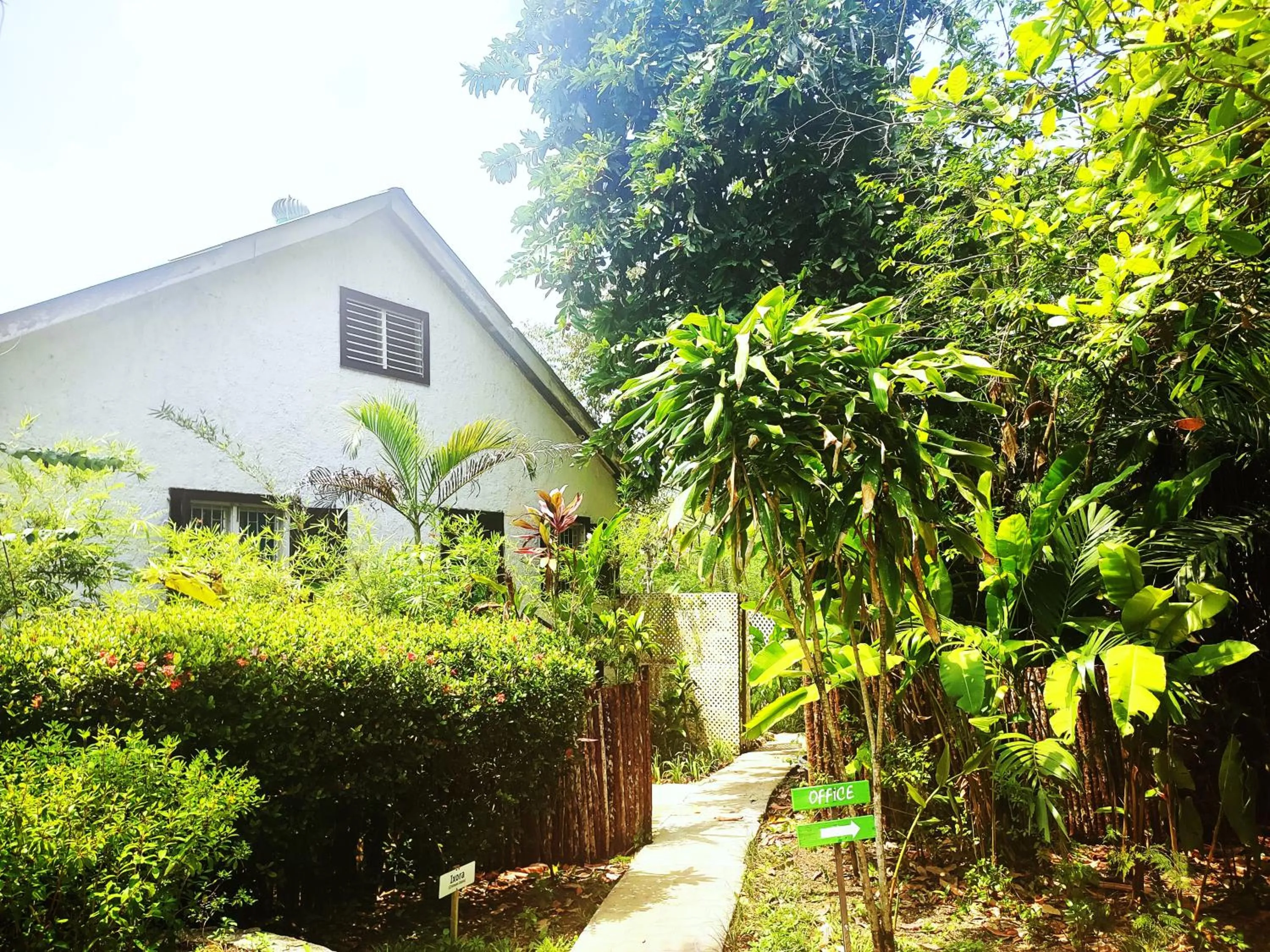 Garden view in Maya Mountain Lodge