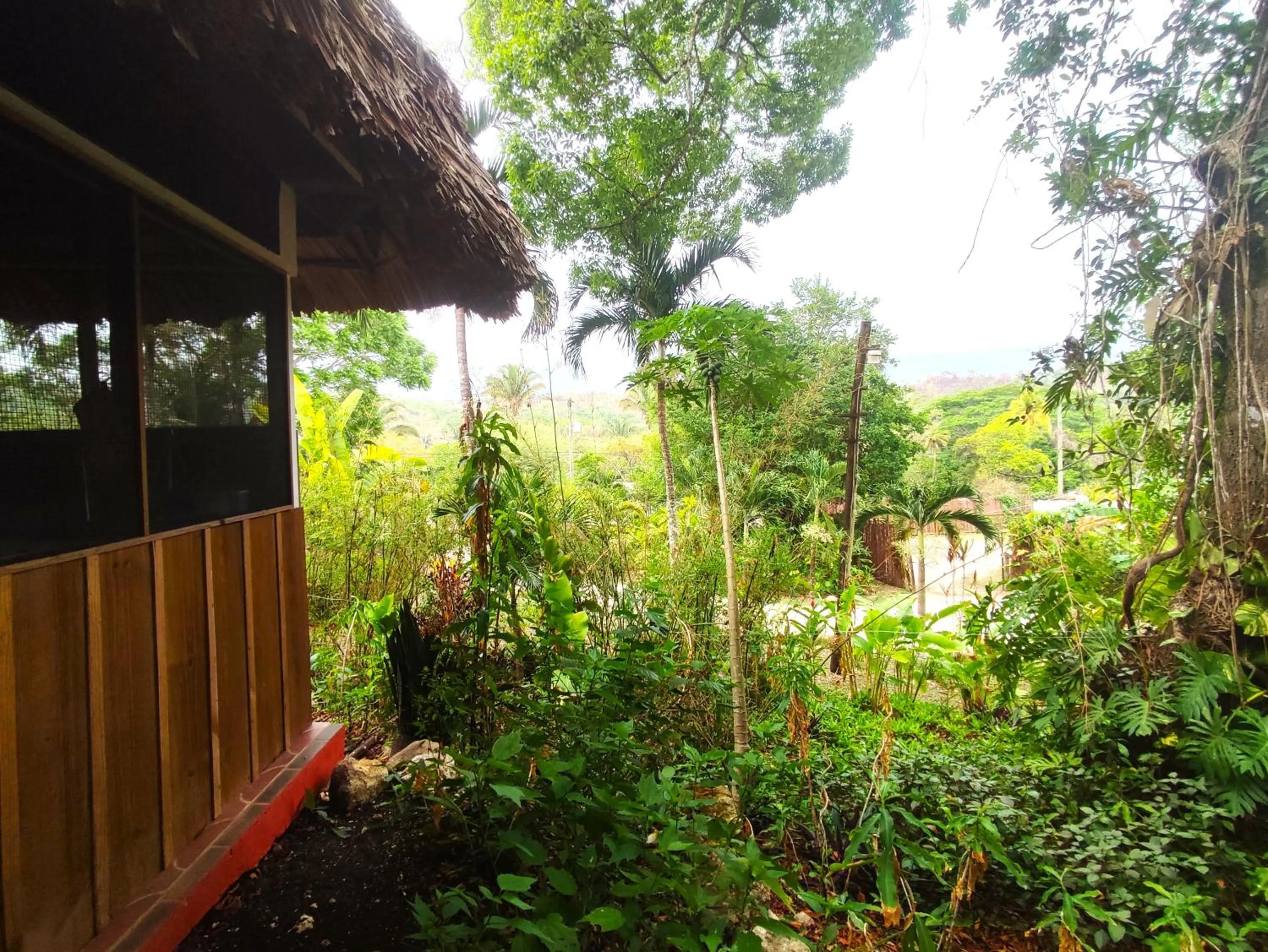Natural landscape in Maya Mountain Lodge