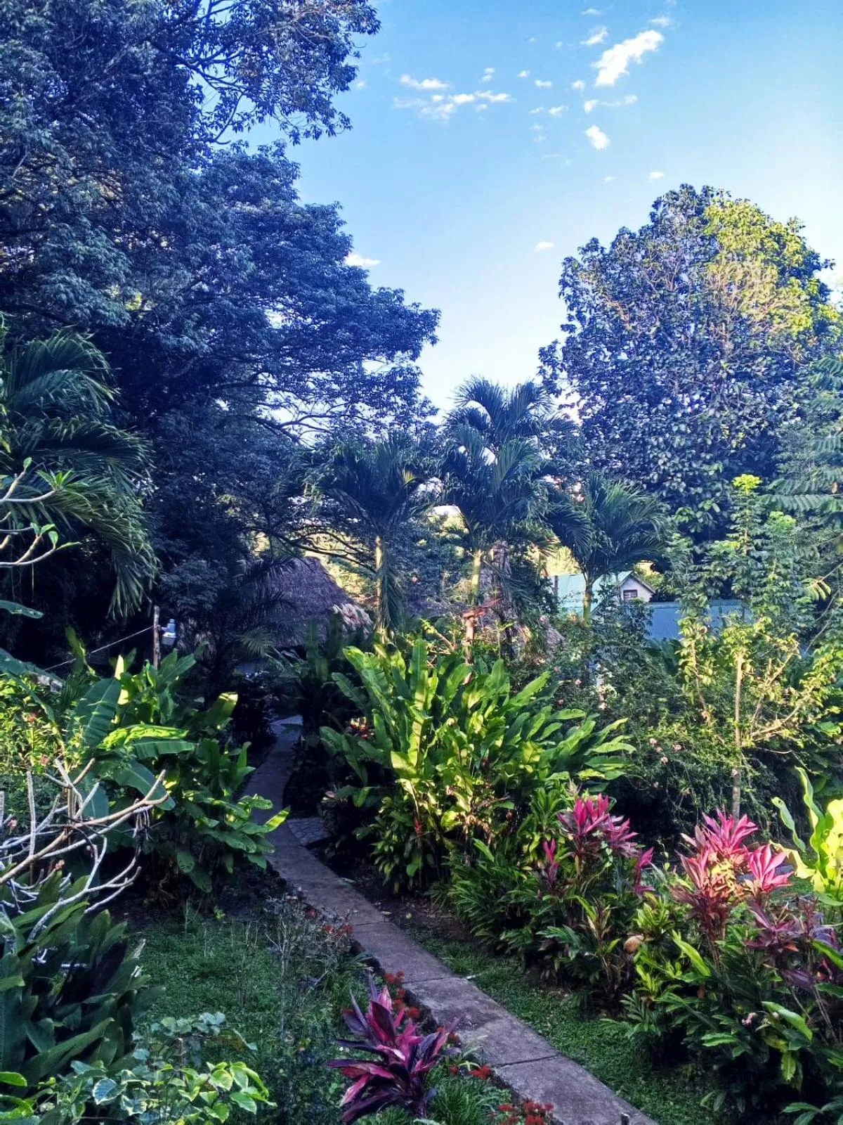 Property building in Maya Mountain Lodge