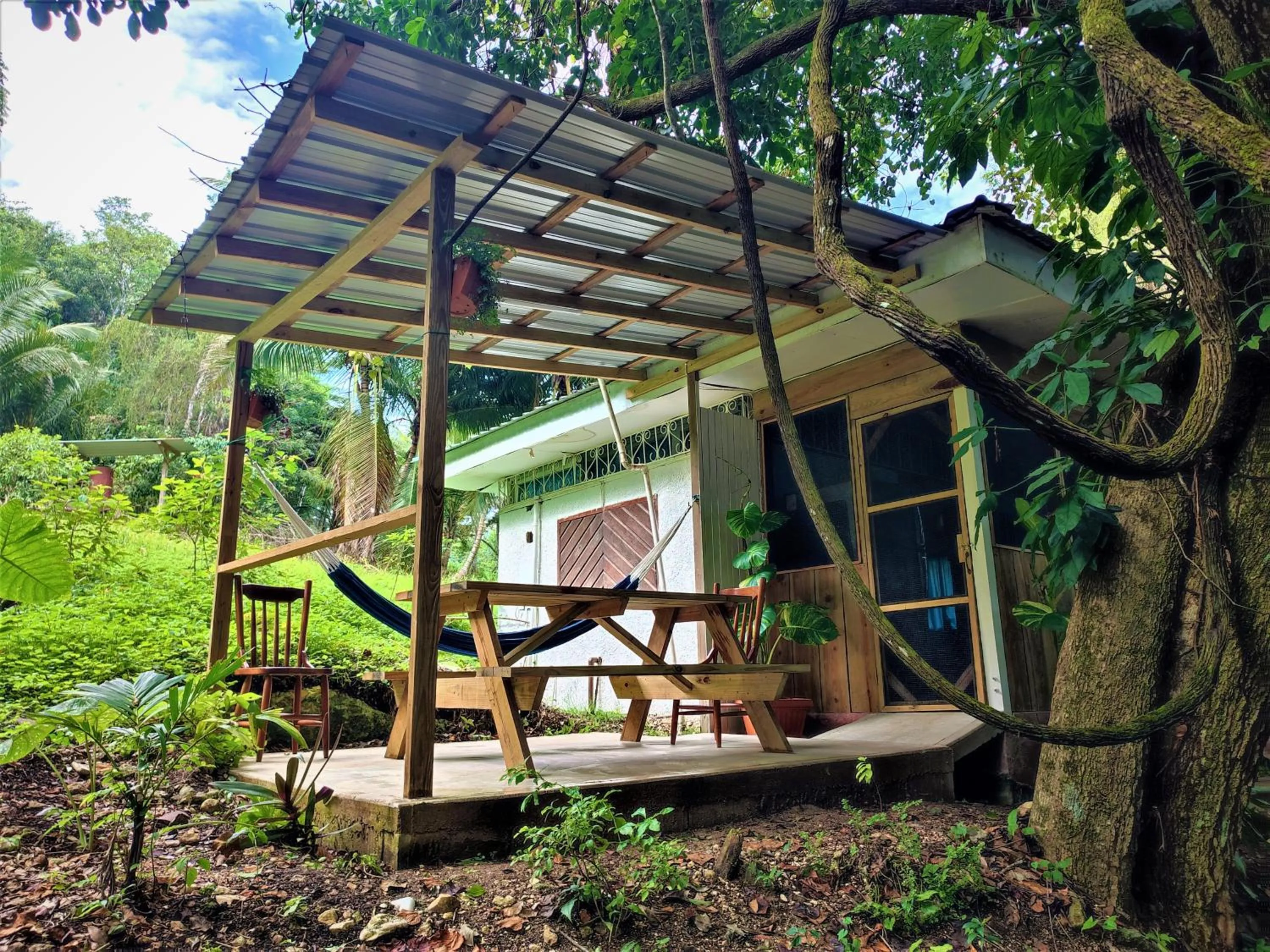 Garden in Maya Mountain Lodge