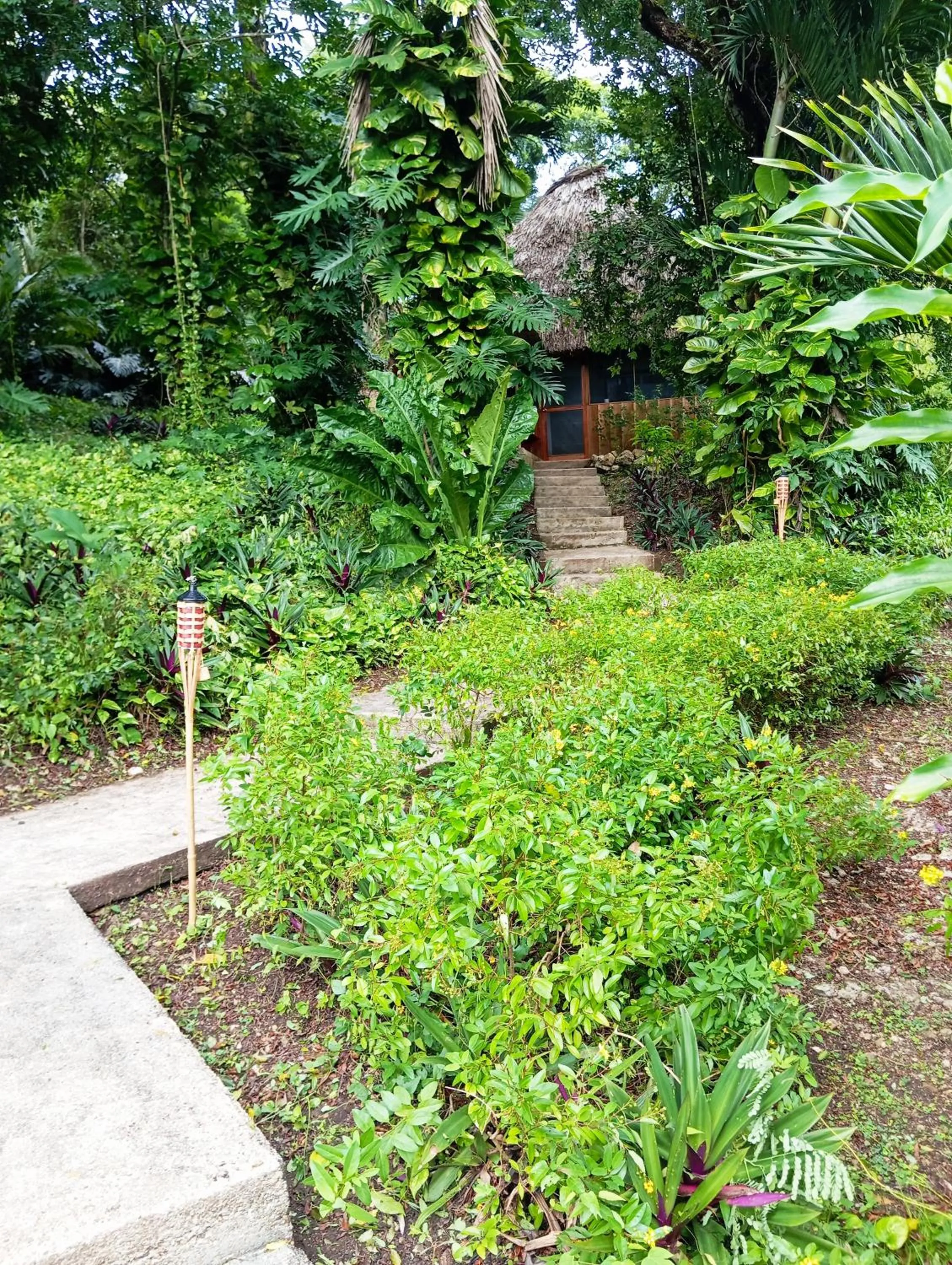 Property building in Maya Mountain Lodge