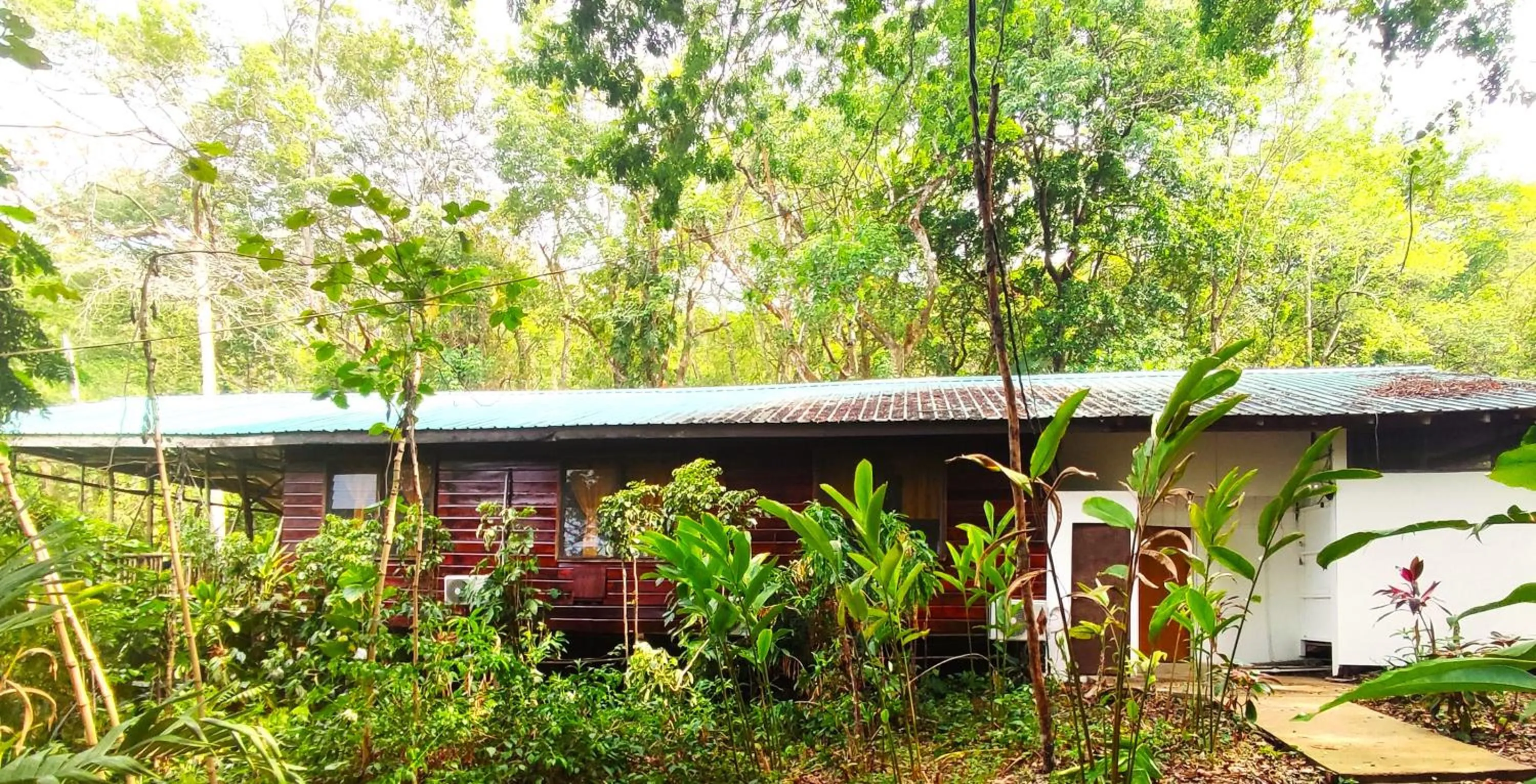 Property building in Maya Mountain Lodge