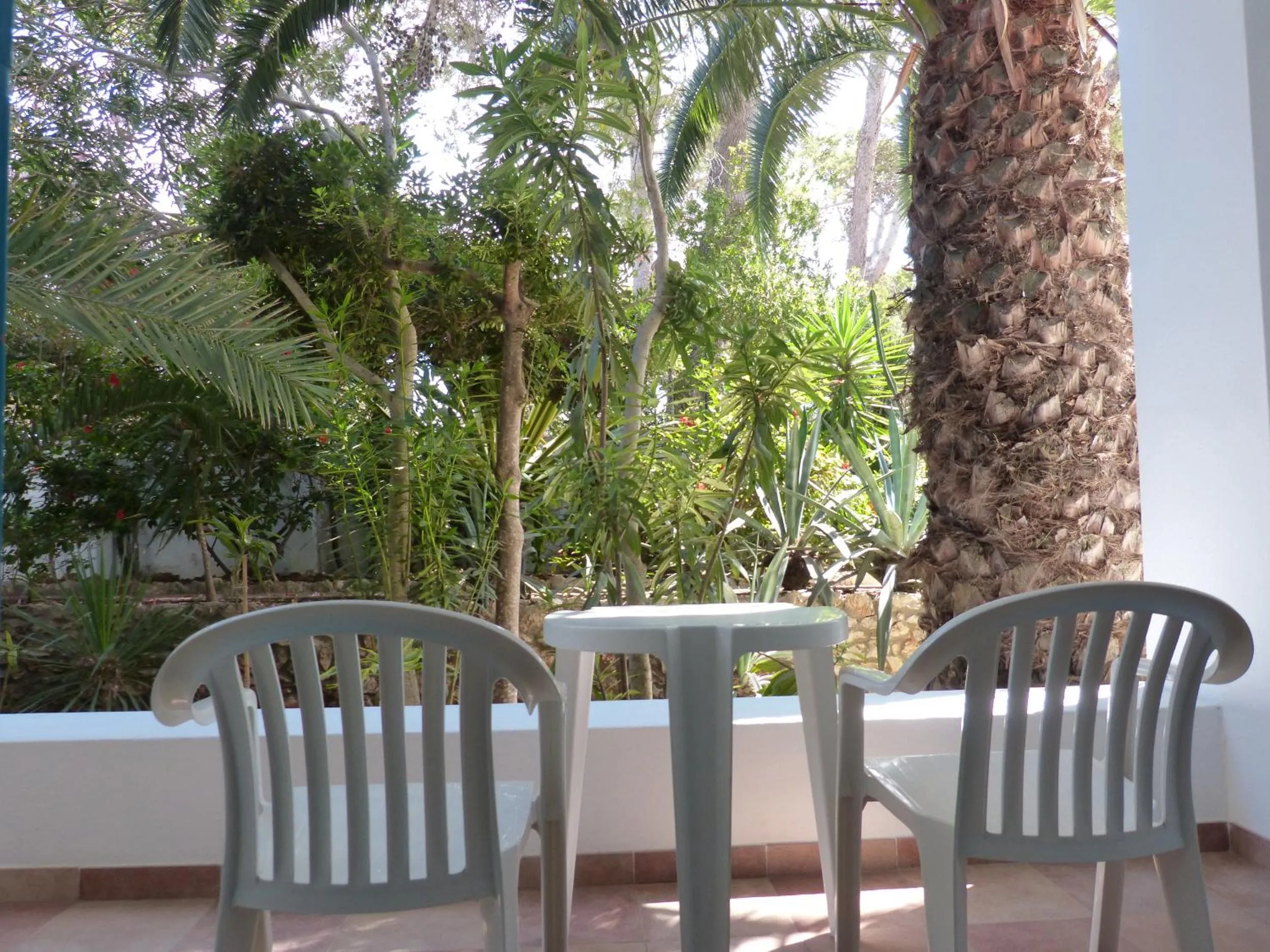 Balcony/Terrace in Hotel Osiris Ibiza