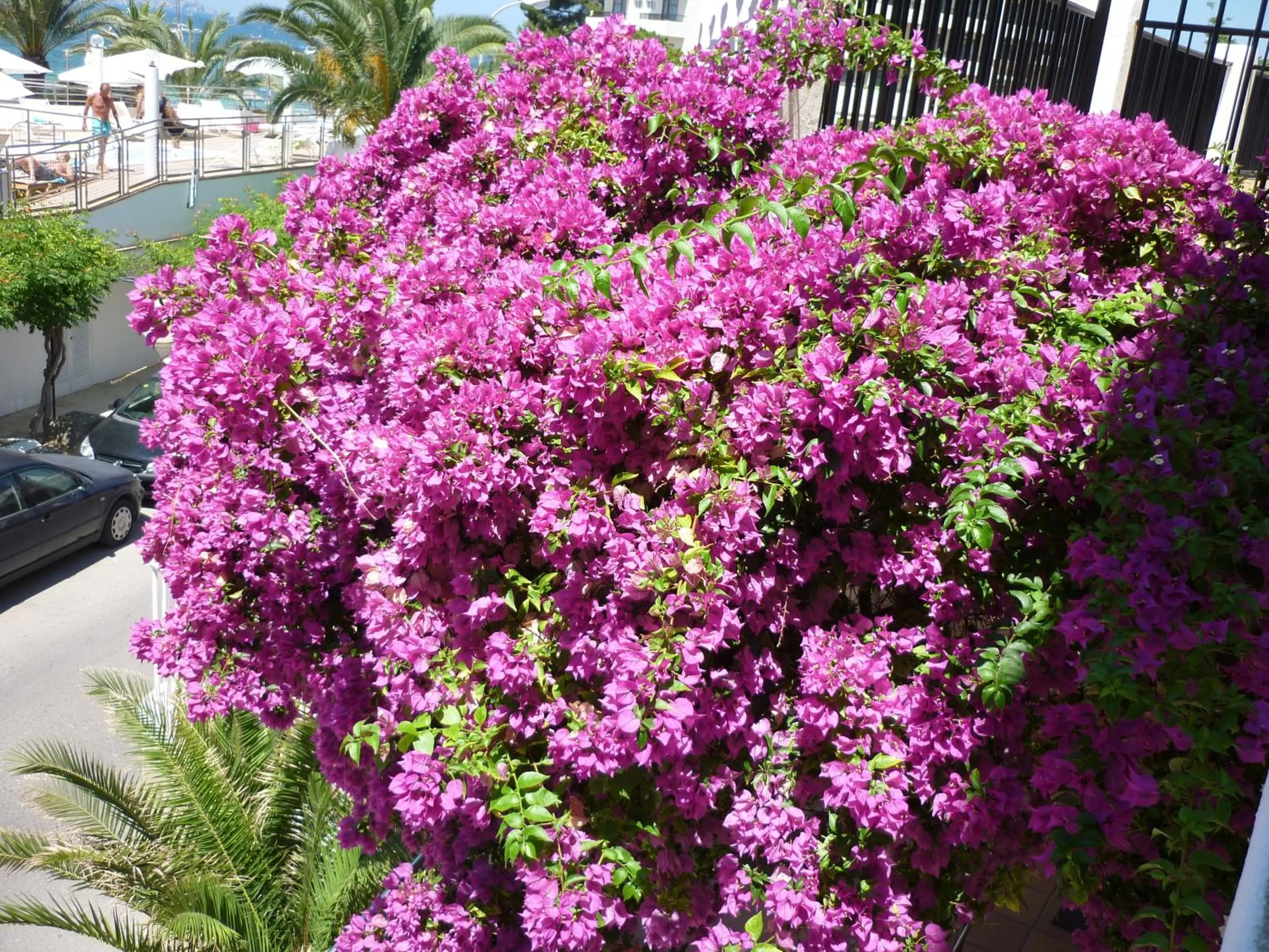 Other in Hotel Osiris Ibiza