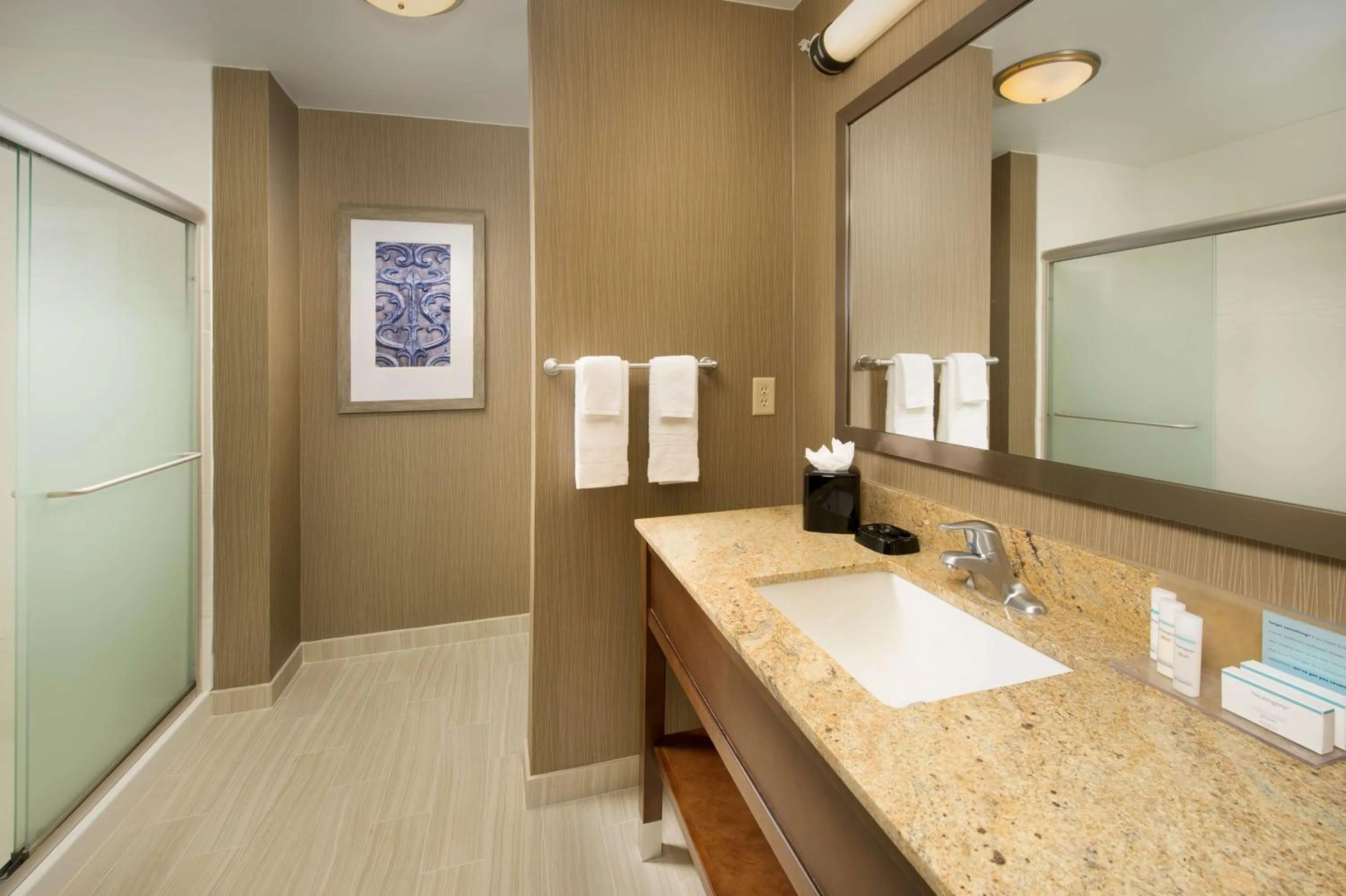 Shower in Hampton Inn & Suites San Antonio-Downtown/Market Square