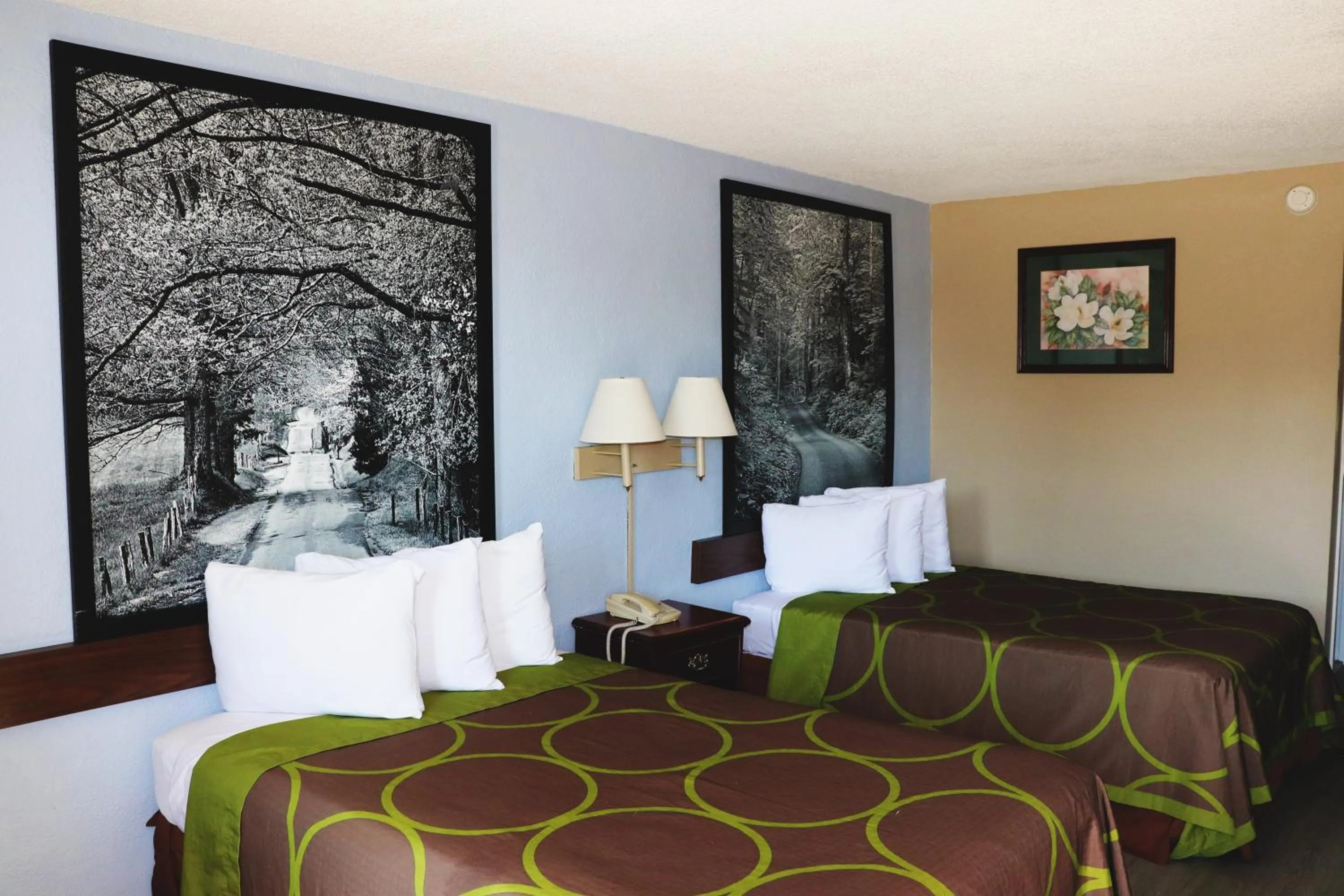 Photo of the whole room, Bed in Super 8 by Wyndham Clarksville East