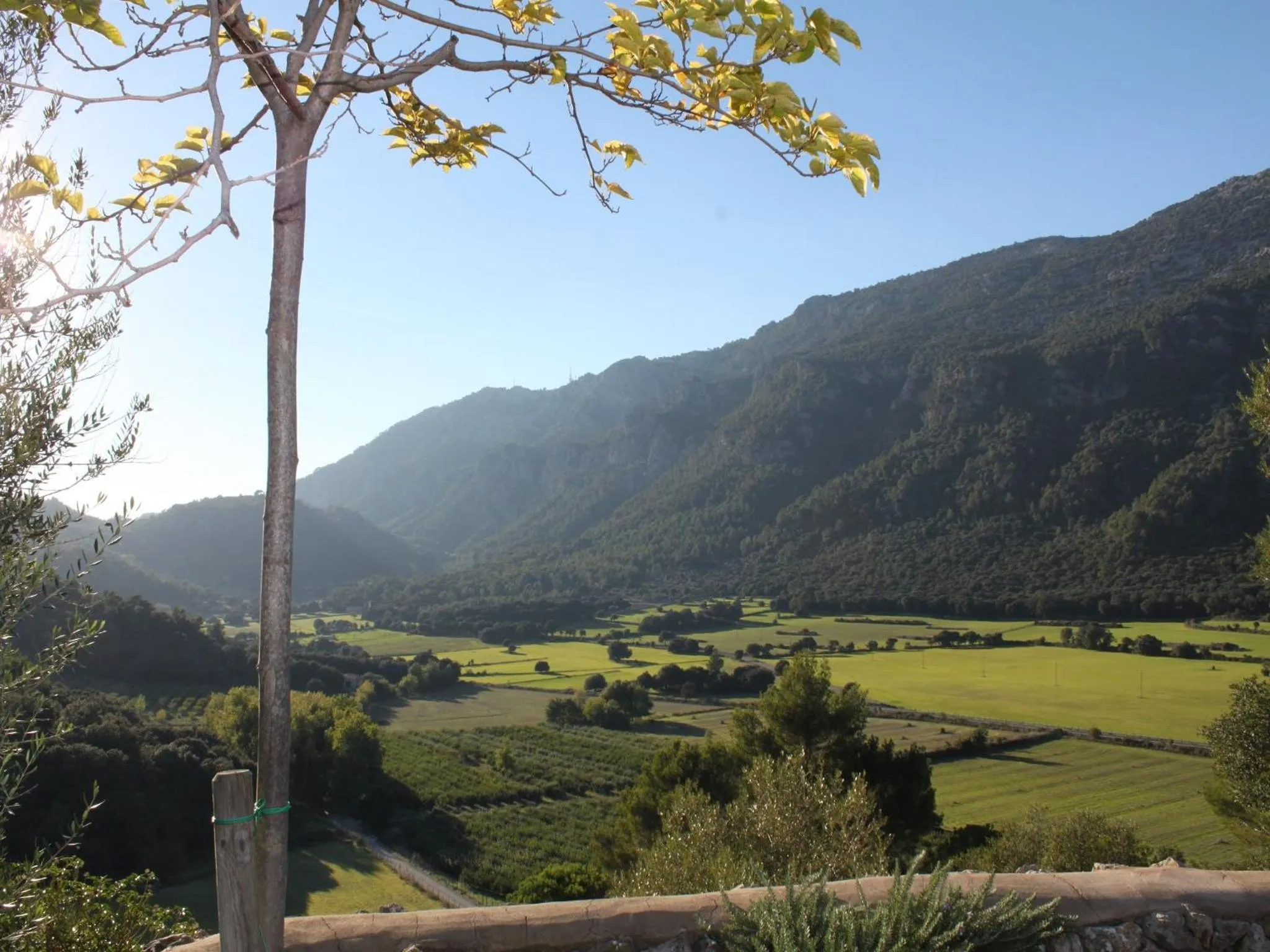 Area and facilities in Finca Hotel Son Palou