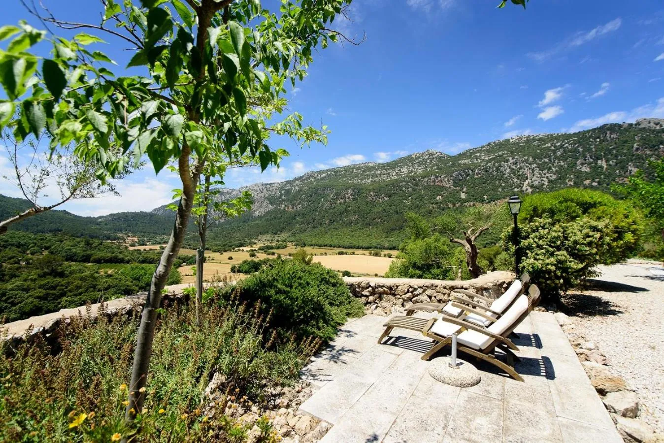 Garden in Finca Hotel Son Palou
