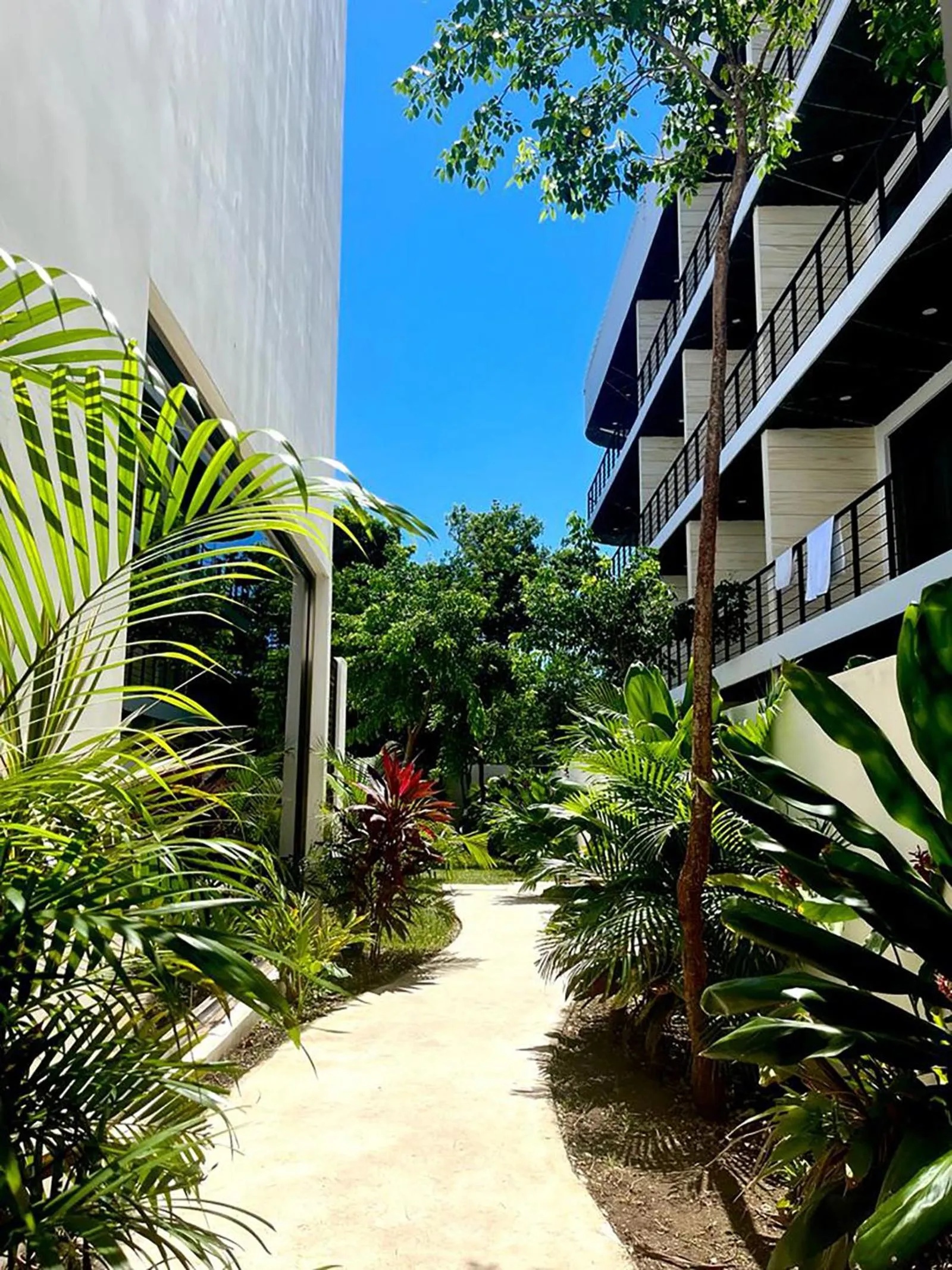 Garden view in Elegant 1BR ALDEA ZAMA Tulum