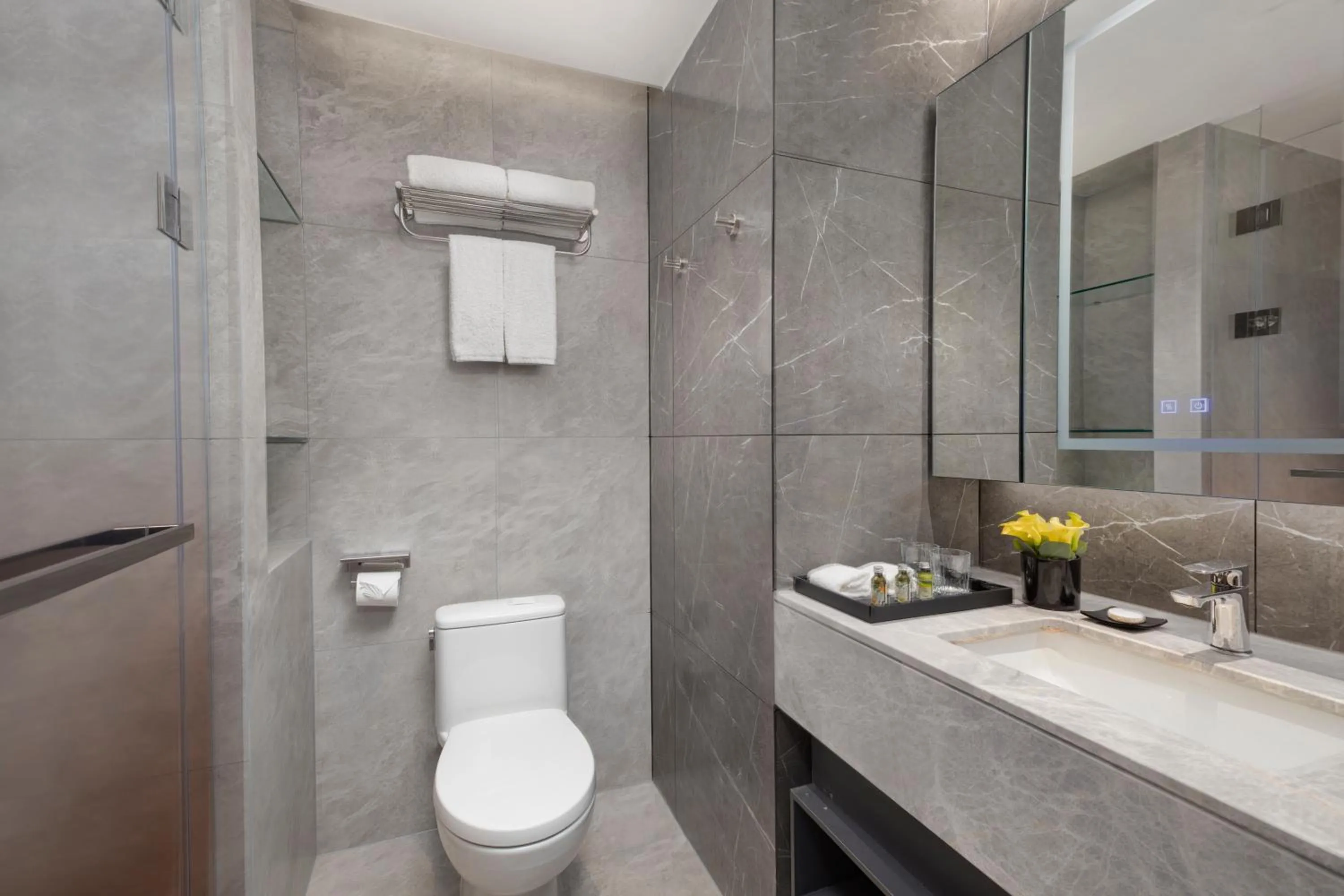 Toilet in Somerset Future Center Wuhan