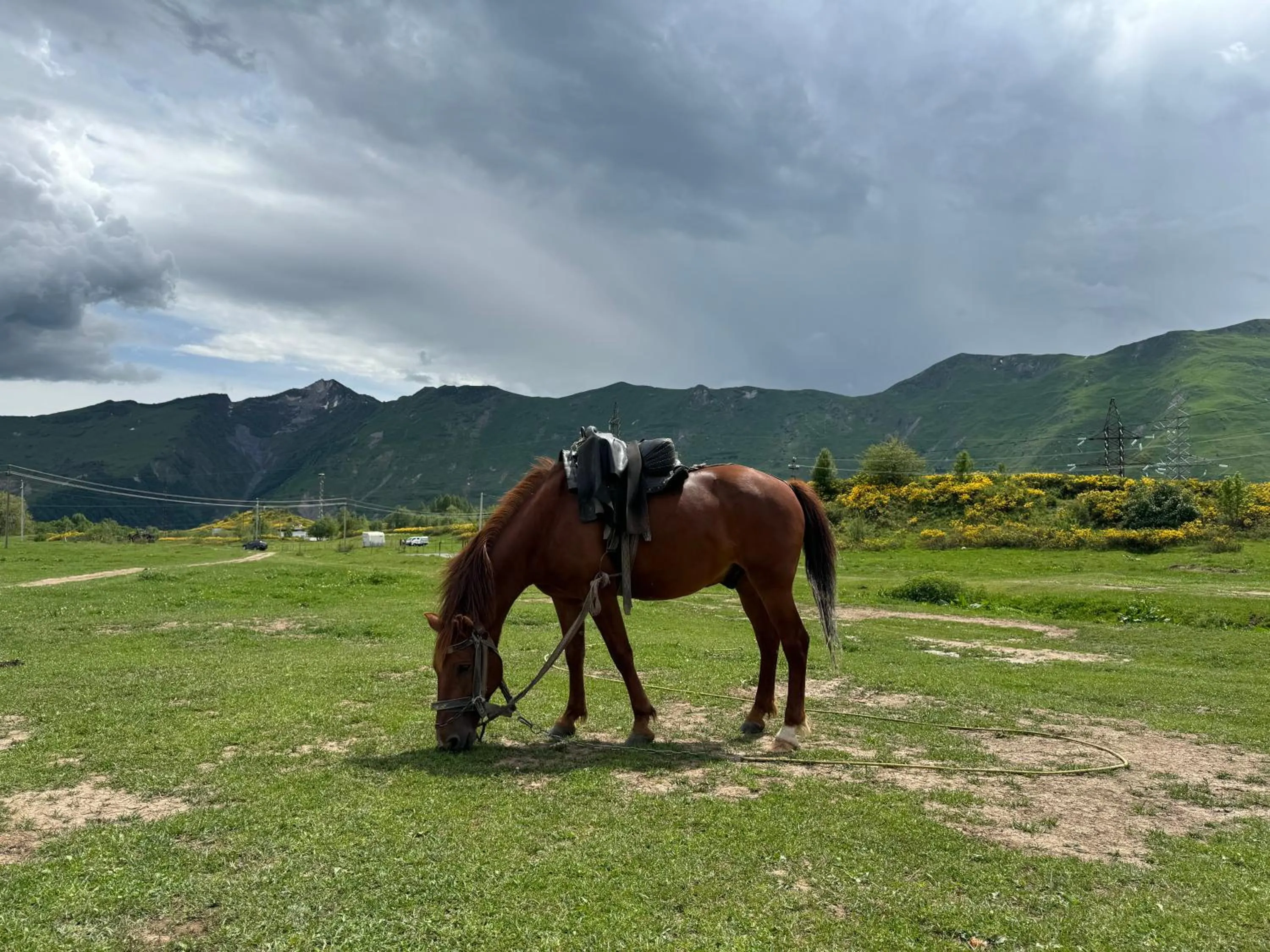 Horse-riding in Gogi Resort