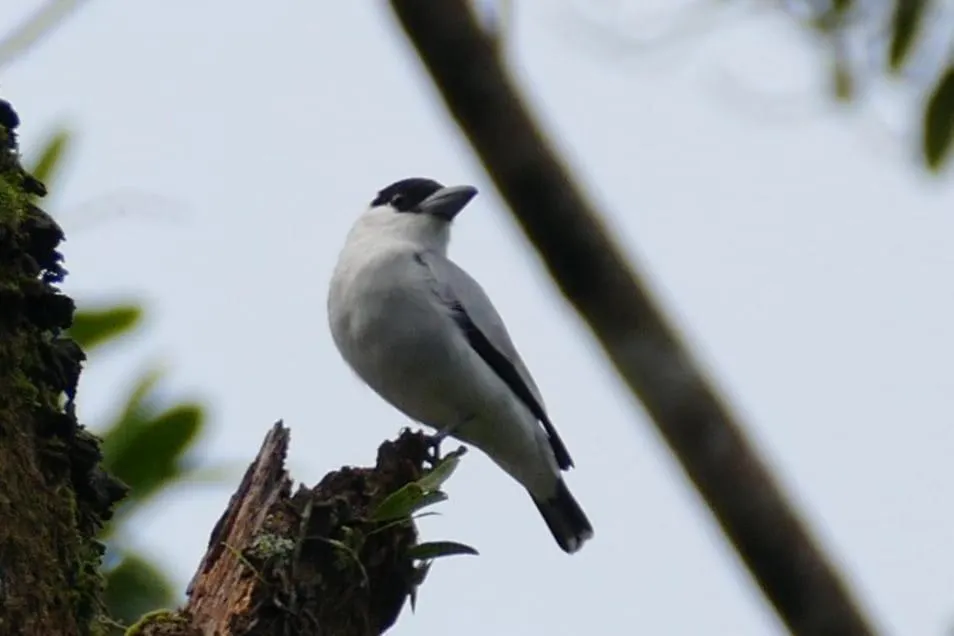 Natural landscape in Cabinas Tortuguero Natural