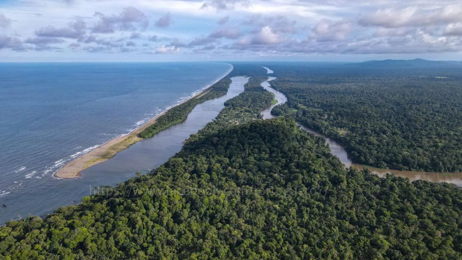 Activities in Cabinas Tortuguero Natural