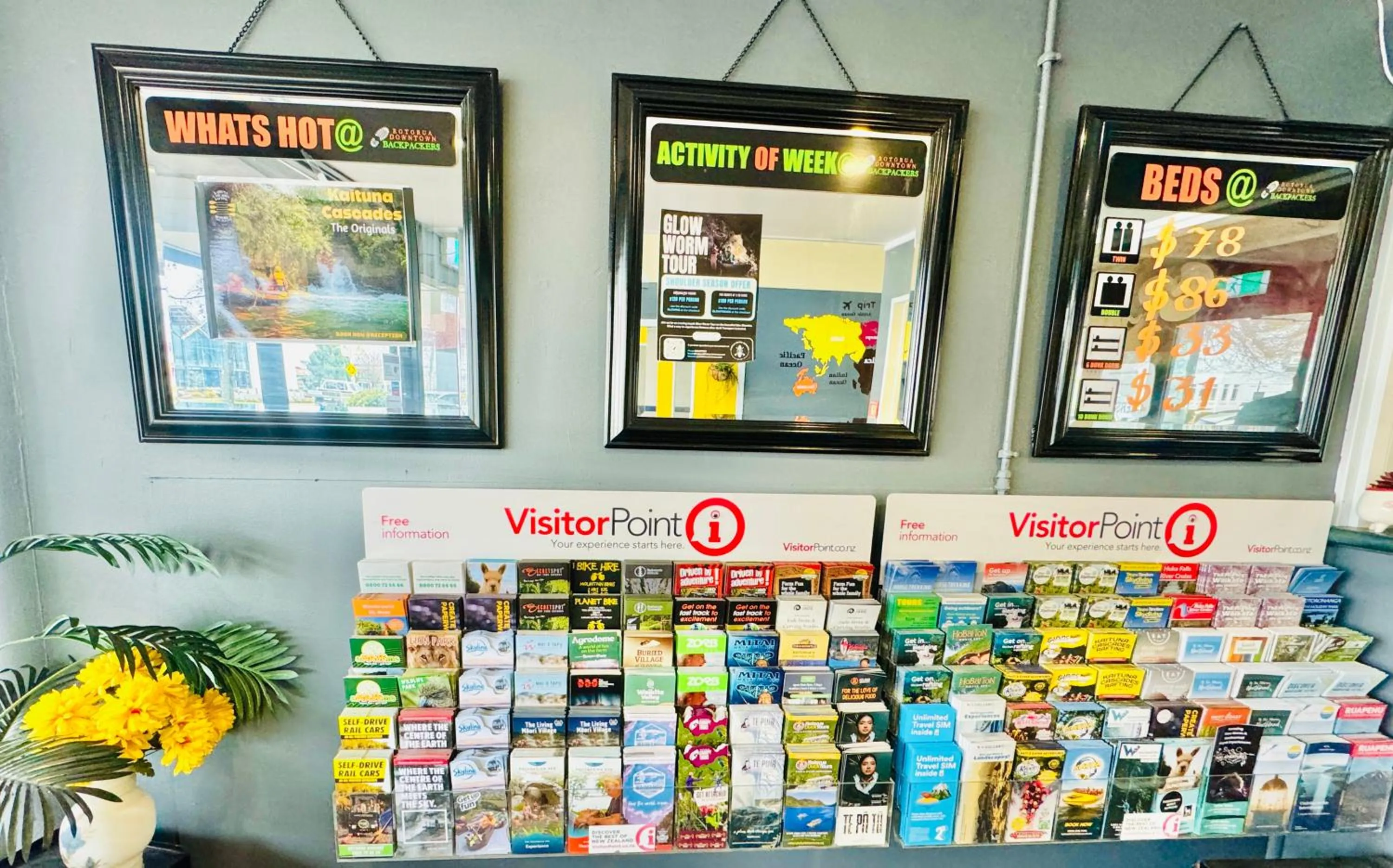 Rotorua Downtown Backpackers