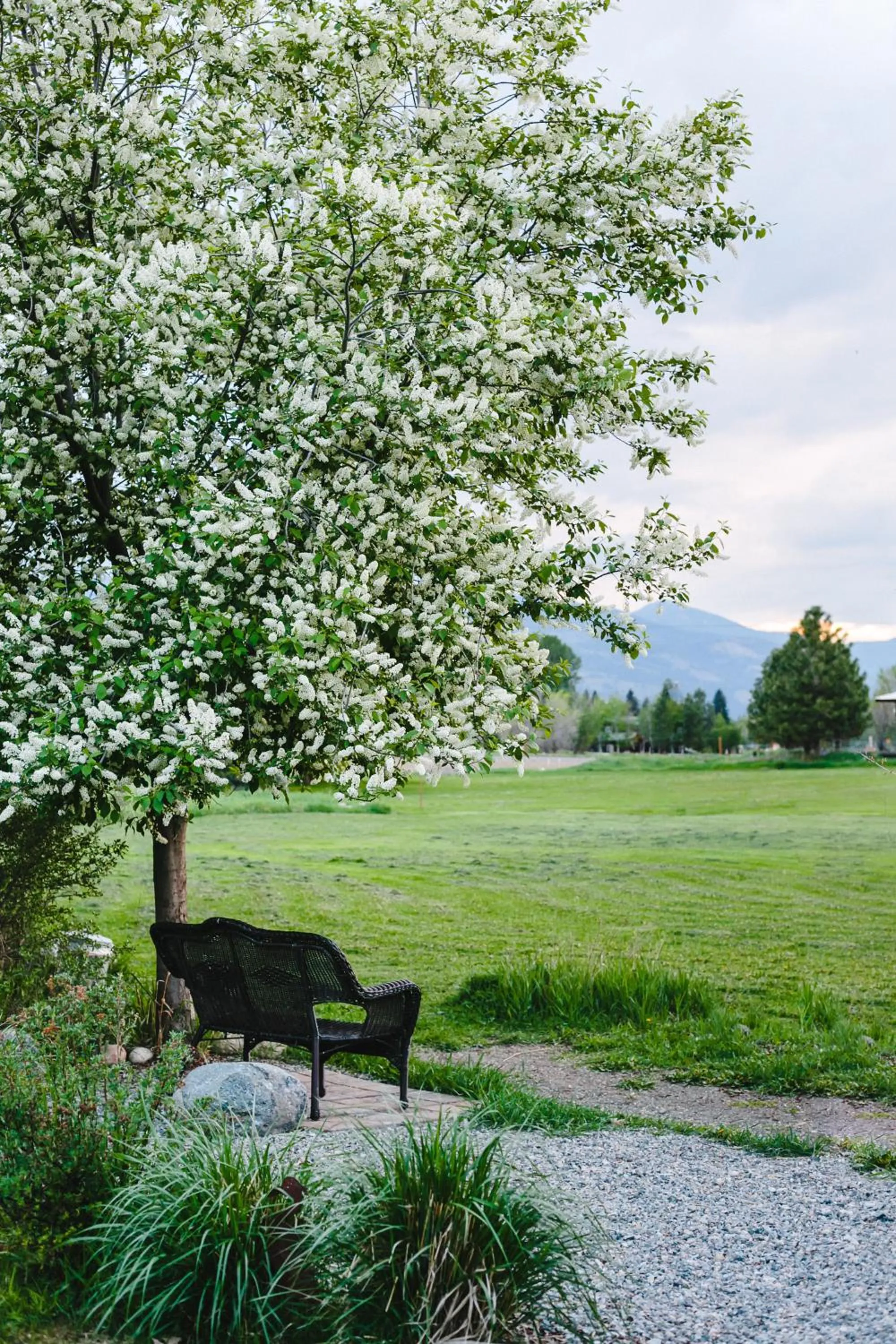 Mountain view in Mt Gardner Inn